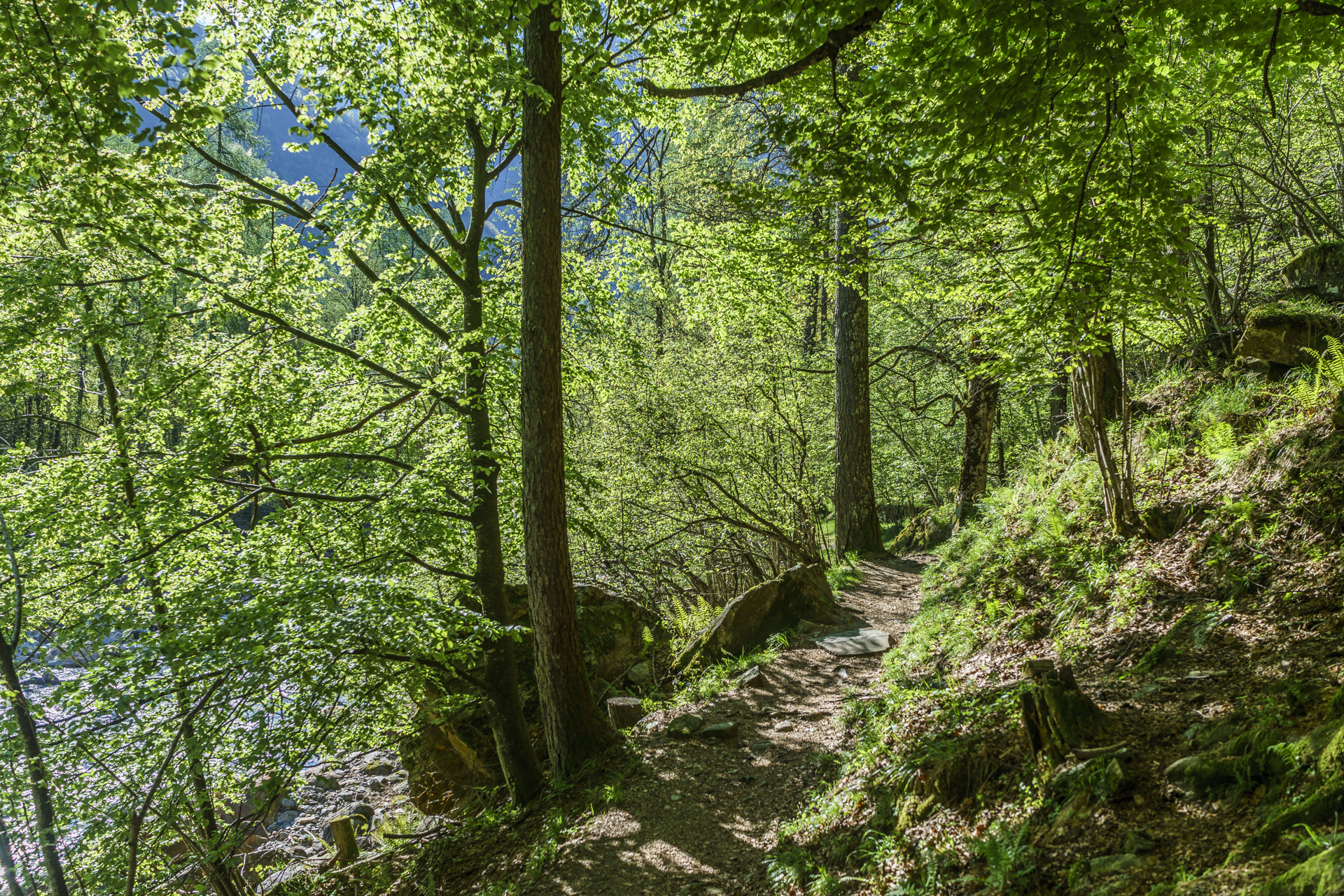 Sentiero-Verzasca-Sonogno