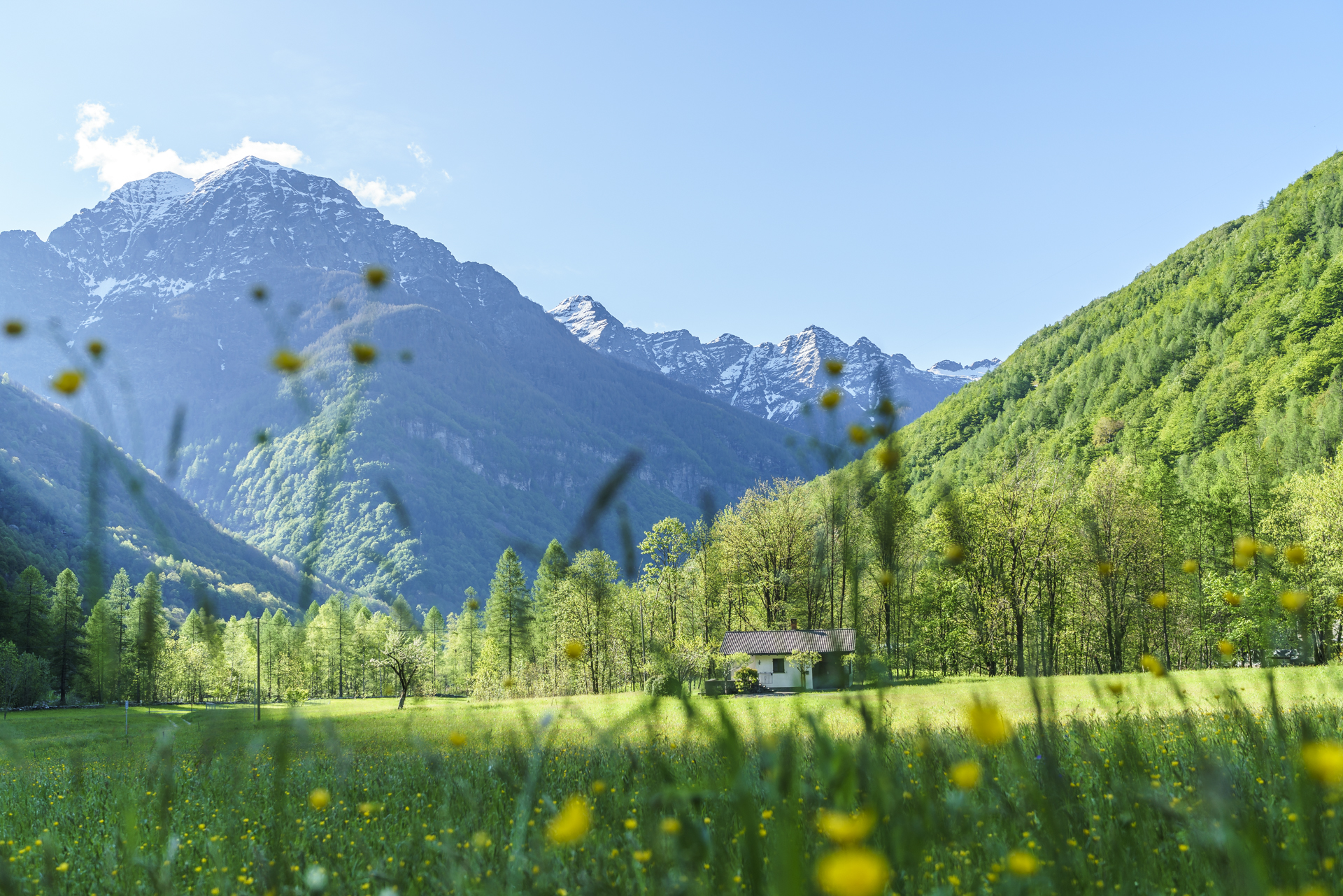 Sonogno-Verzascatal