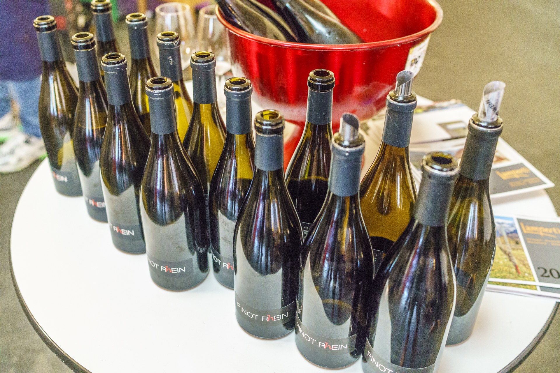 Pinot Rhein Vertikaldegustation