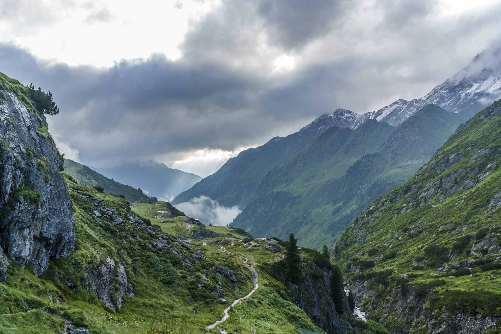 Alpein-Alm-Stubaital
