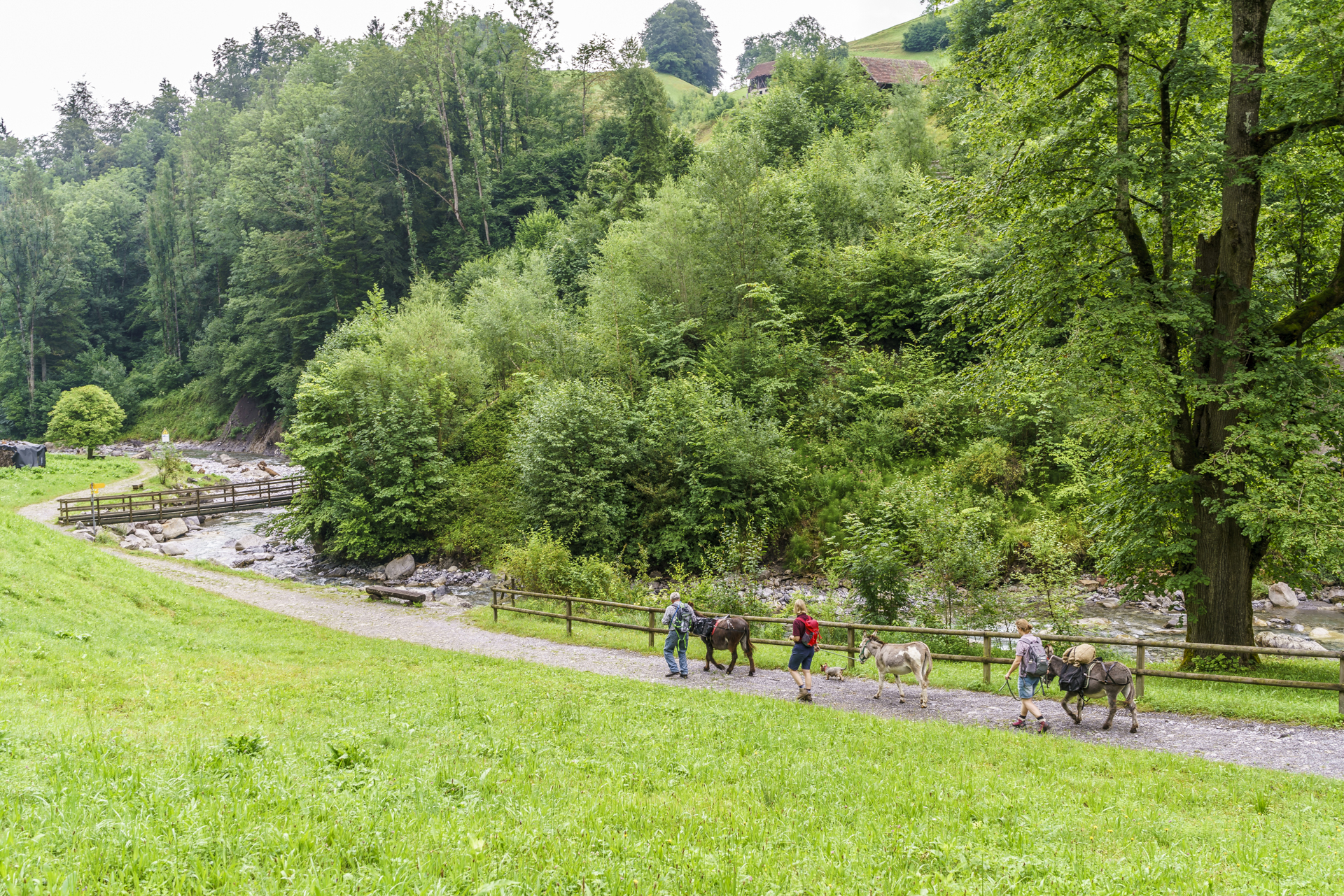 Eseltrekking-Obwalden