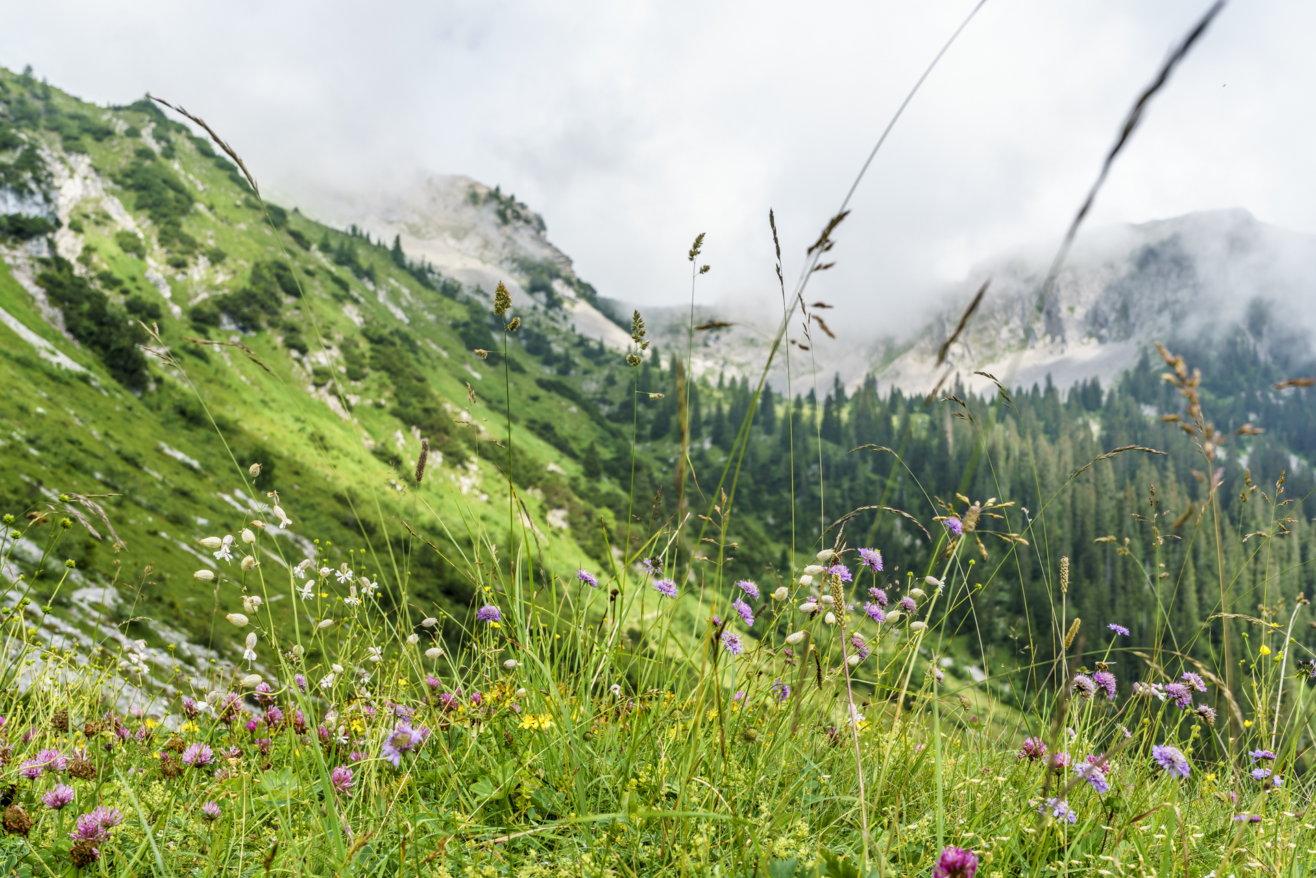 Giswilerstock-Obwalden