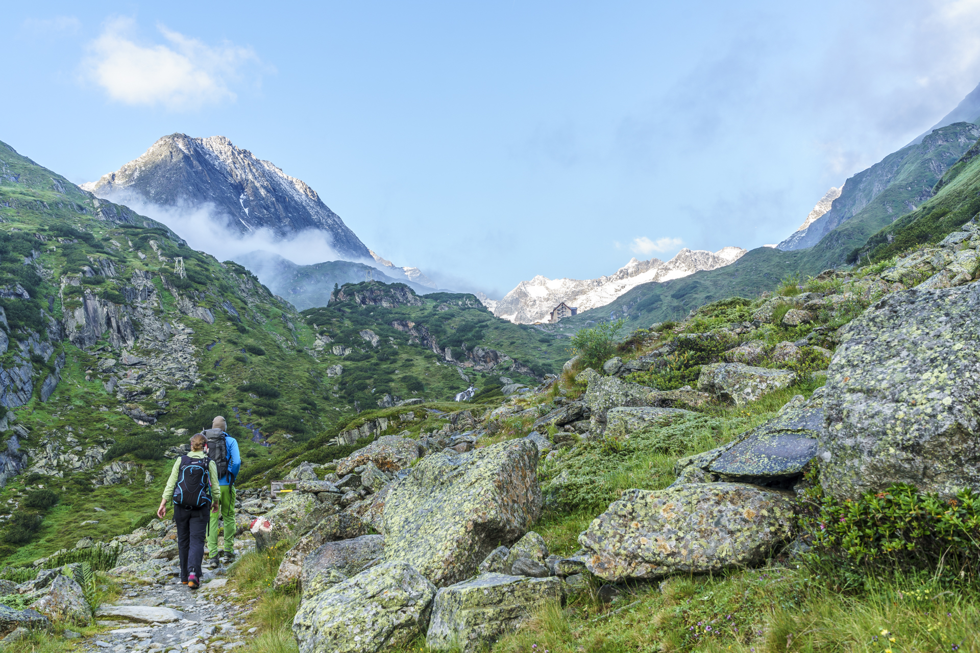 Wanderweg-Alpein-Alm