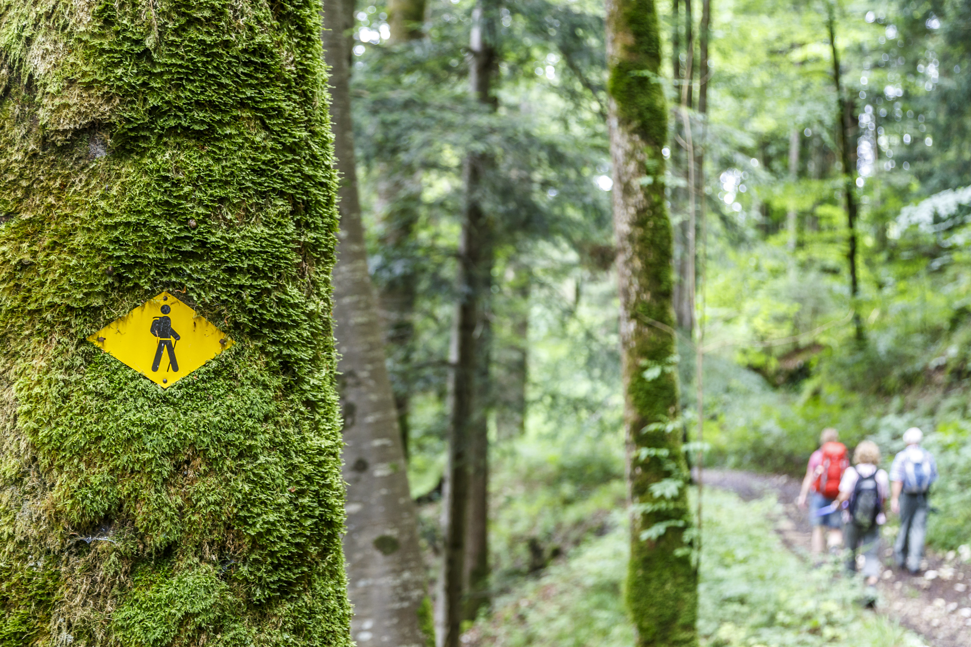 Fil du Doubs Wanderweg Nr 95