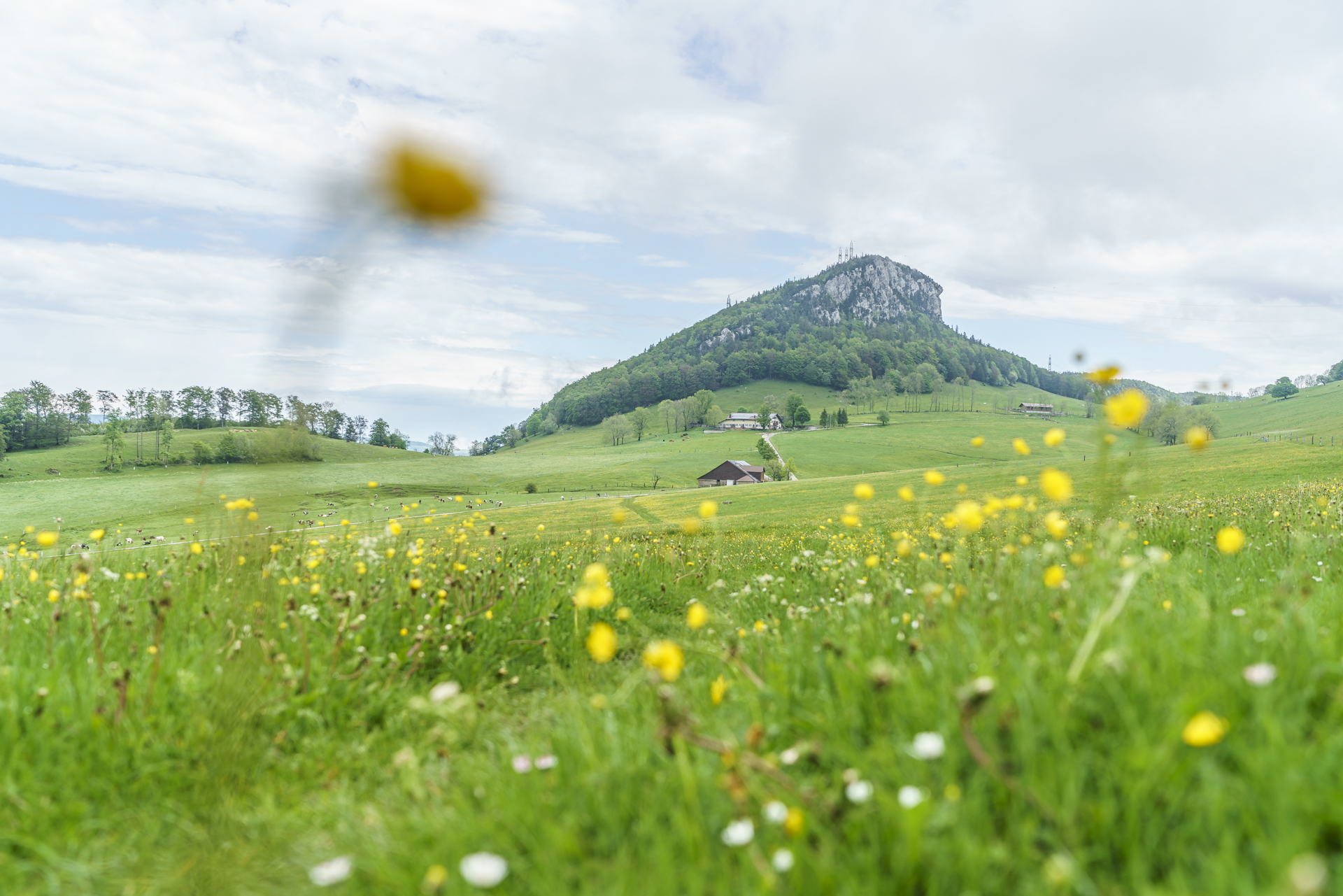 Fototipps-Vordergrund-1