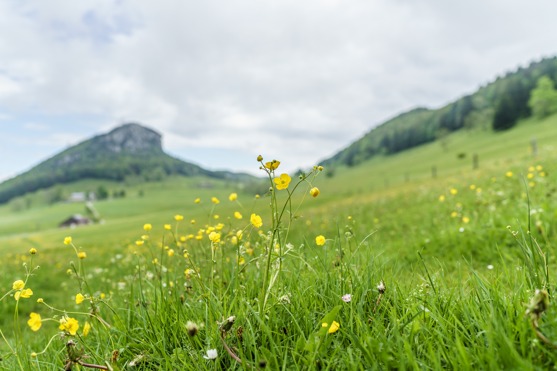 Fototipps-Vordergrund-2
