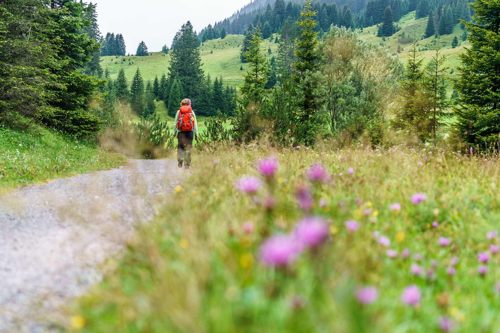 Lechweg-Vorarlberg-Wanderung