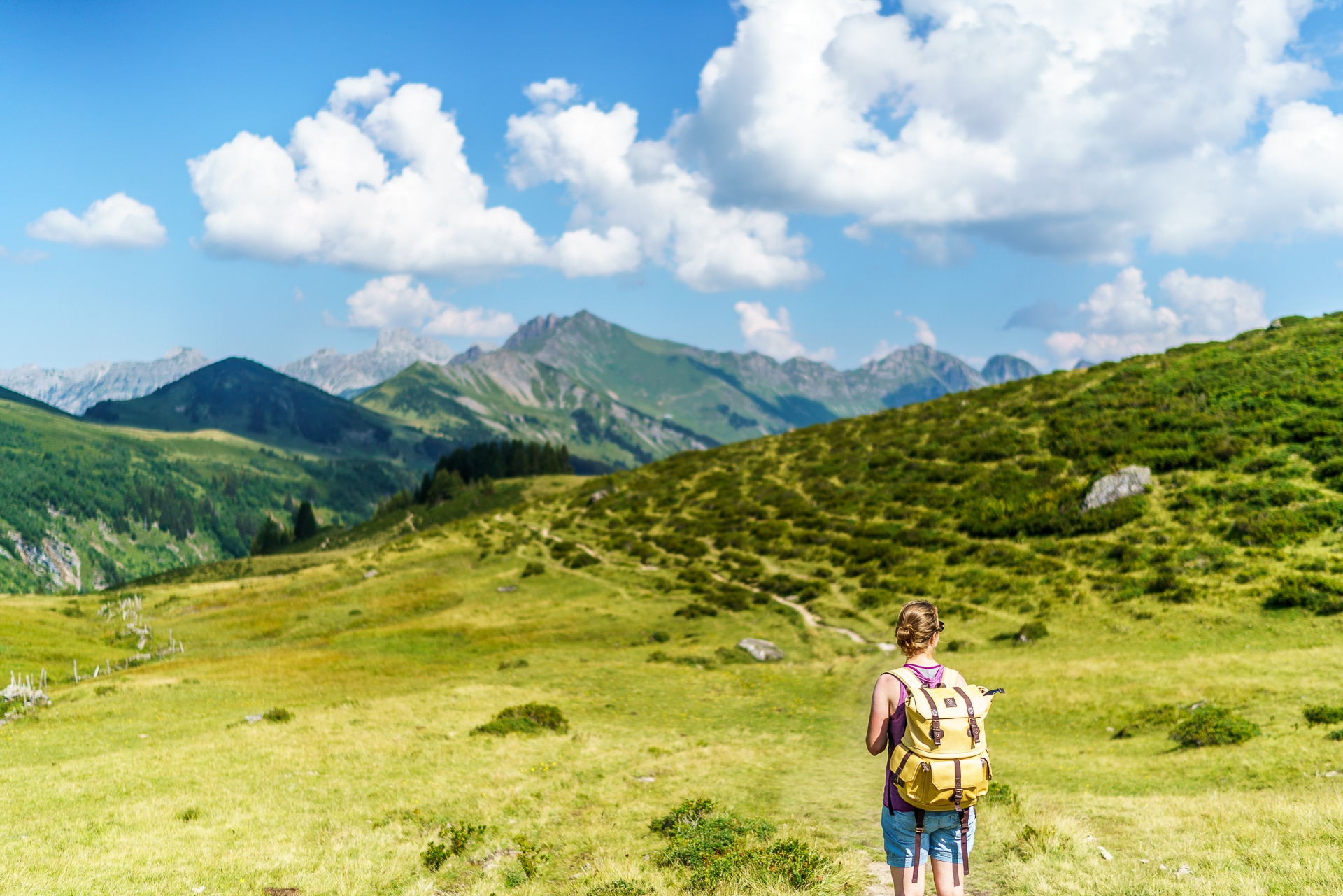 Wanderweg-Col-du-Pillon-Arnensee