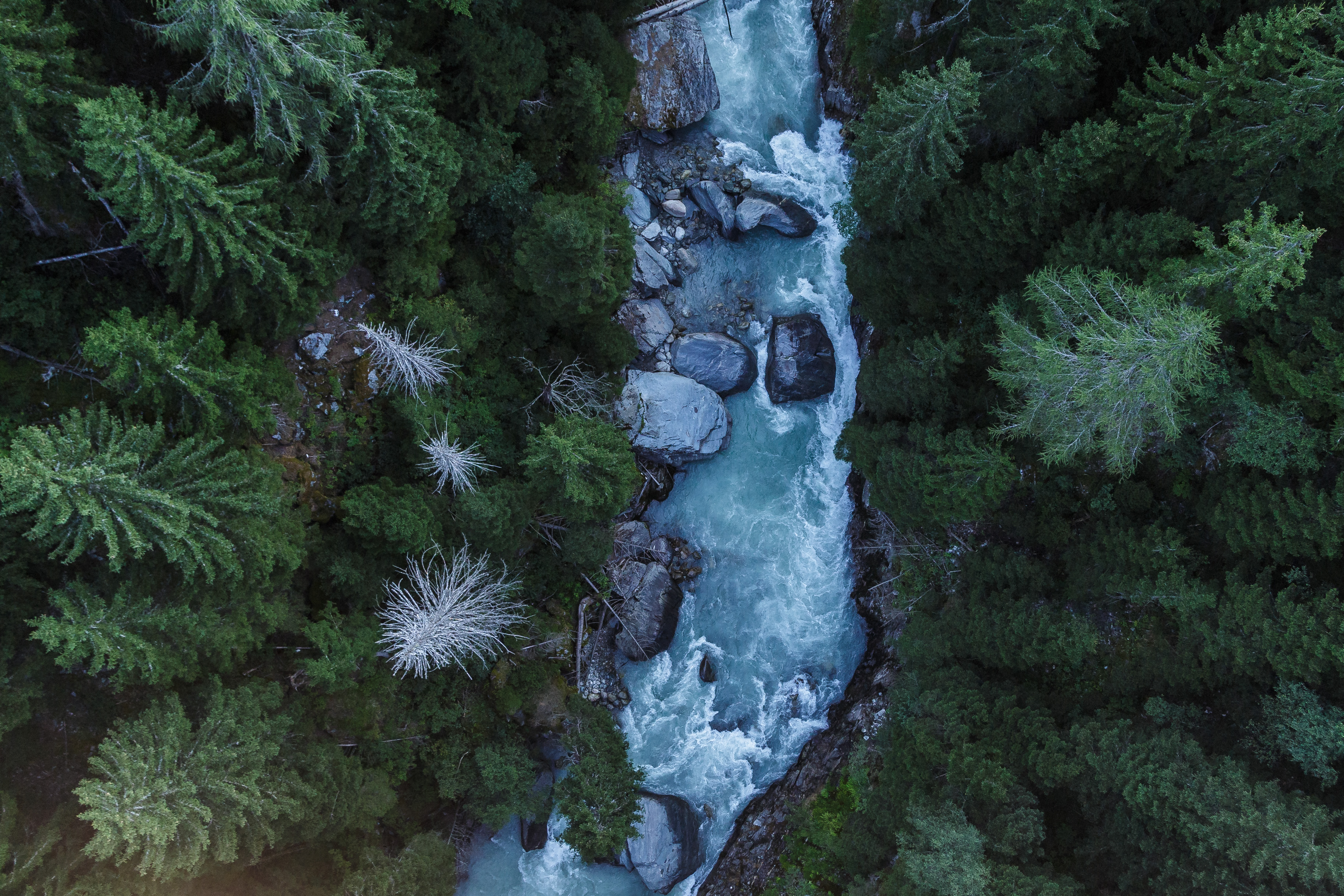 Blick auf Rhone von der Goms Bridge bei Bellwald