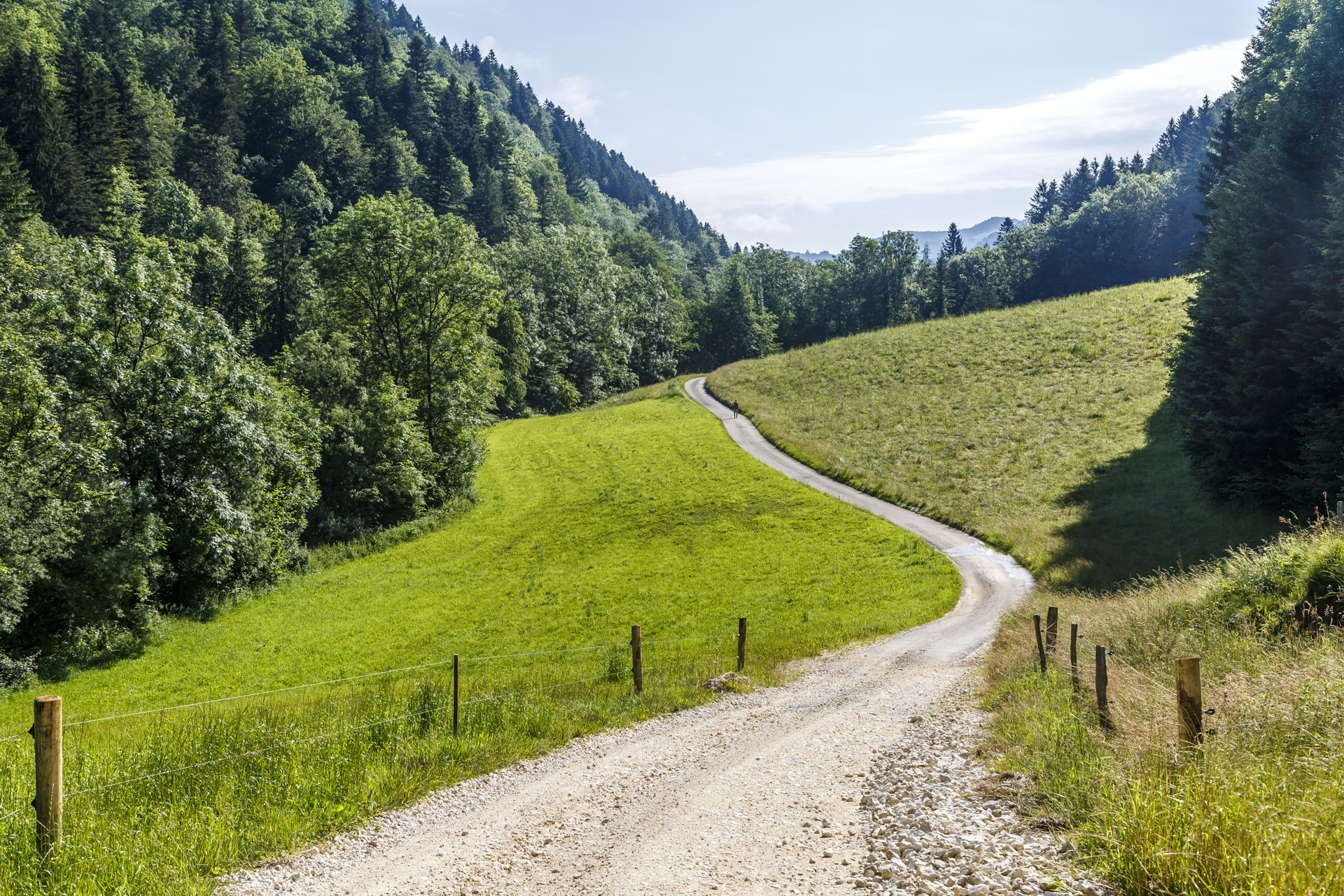 juradoubs-132