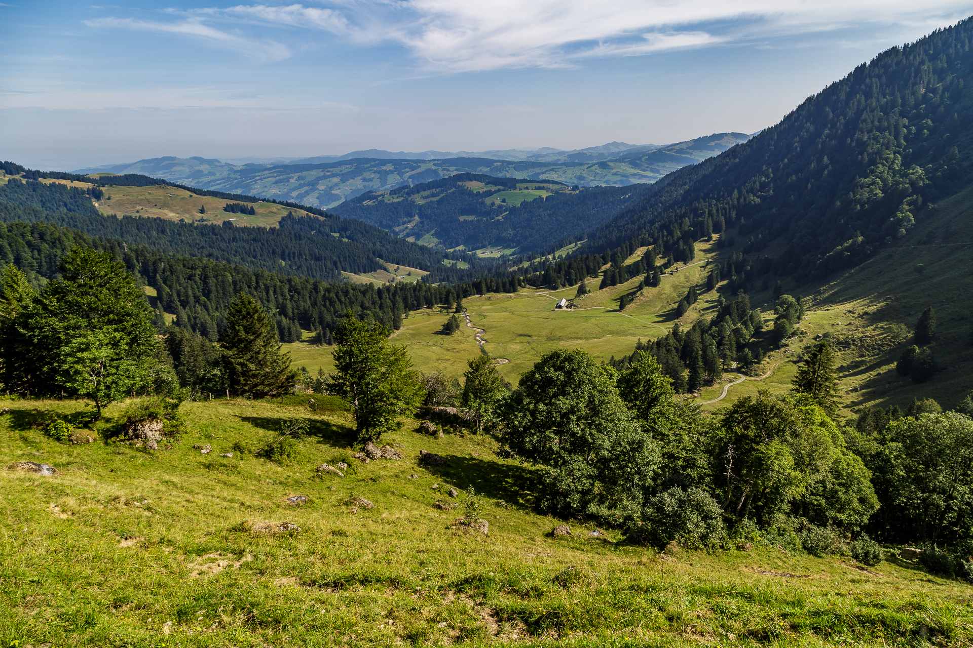 toggenburg-hoehenweg-279