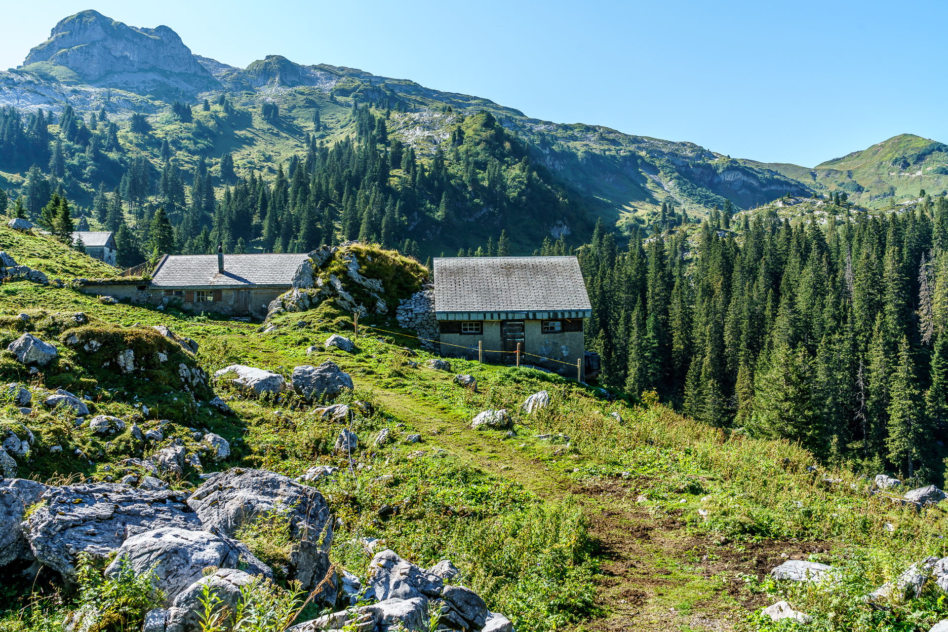 spanegg-alp
