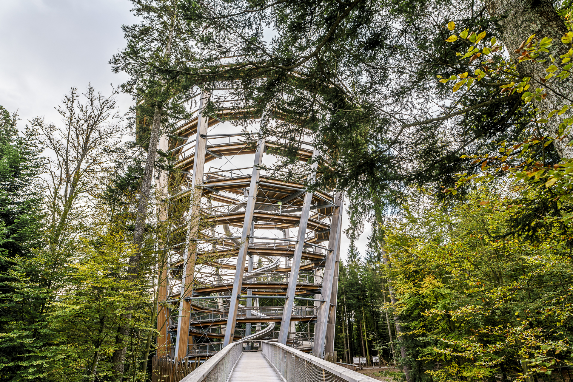 baumwipfelpfad-schwarzwald