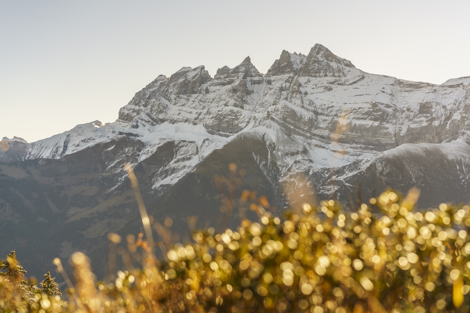 dents-du-midi-ausblick