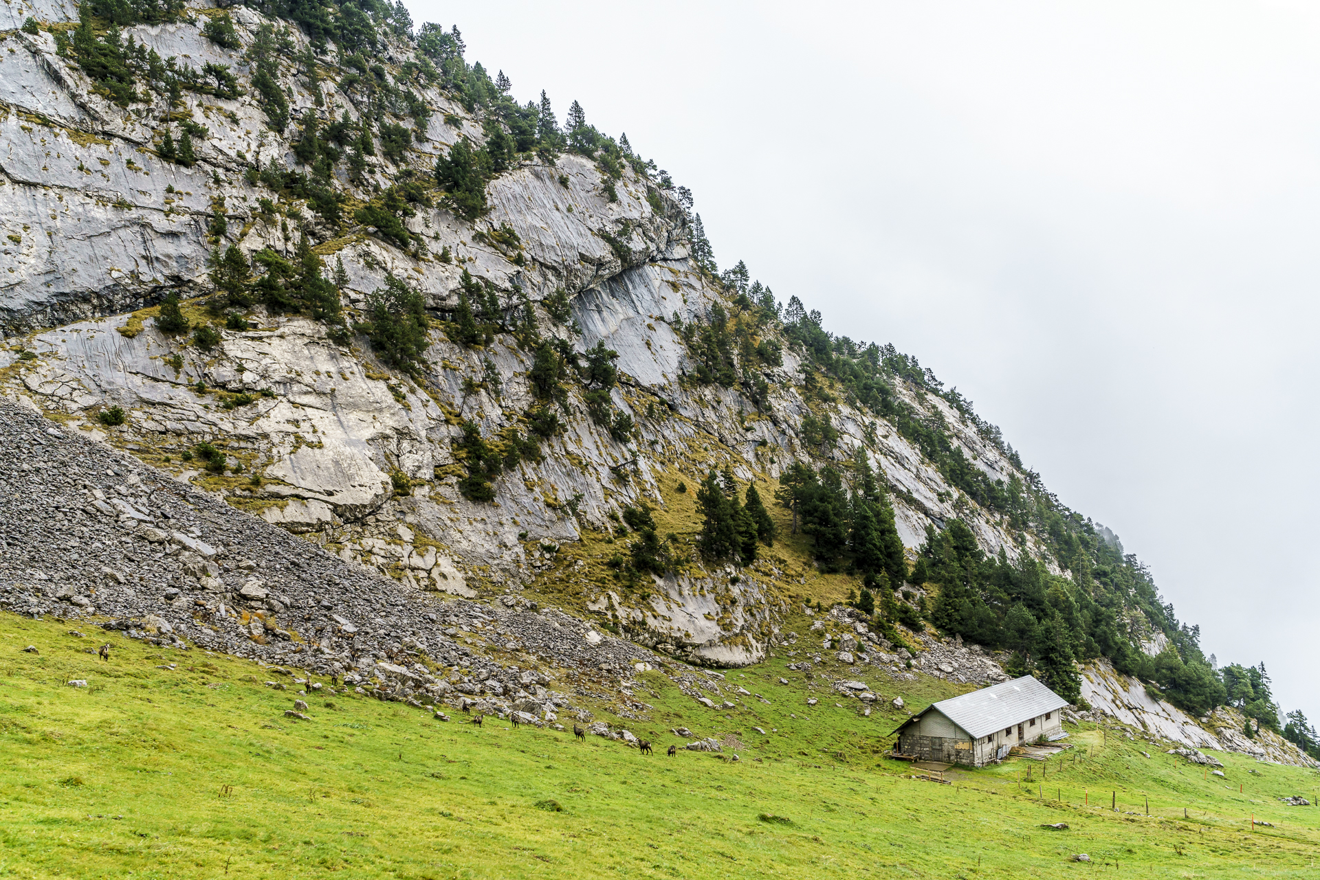 pilatus-zahnradbahn-gaemsen