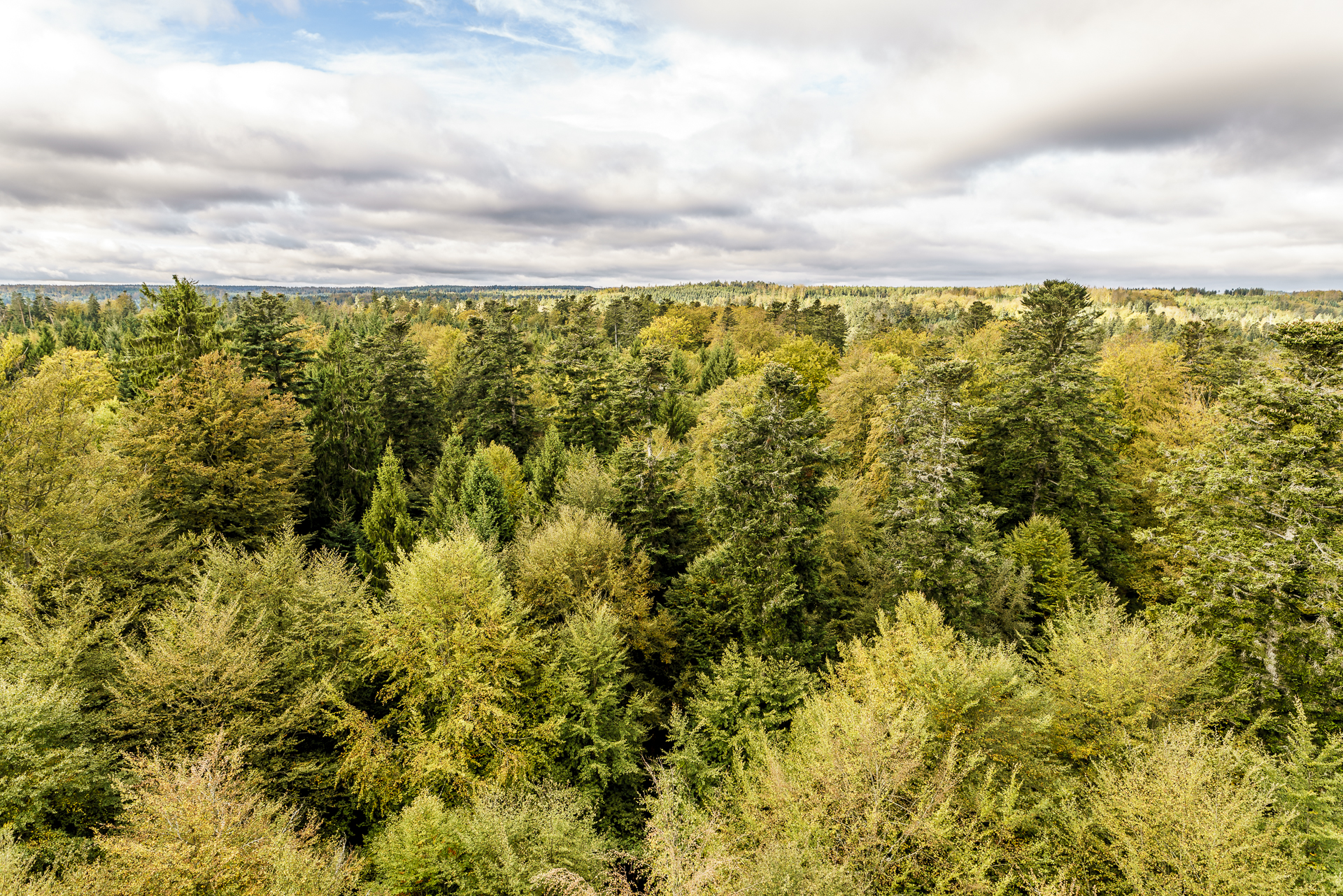 schwarzwald-herbst