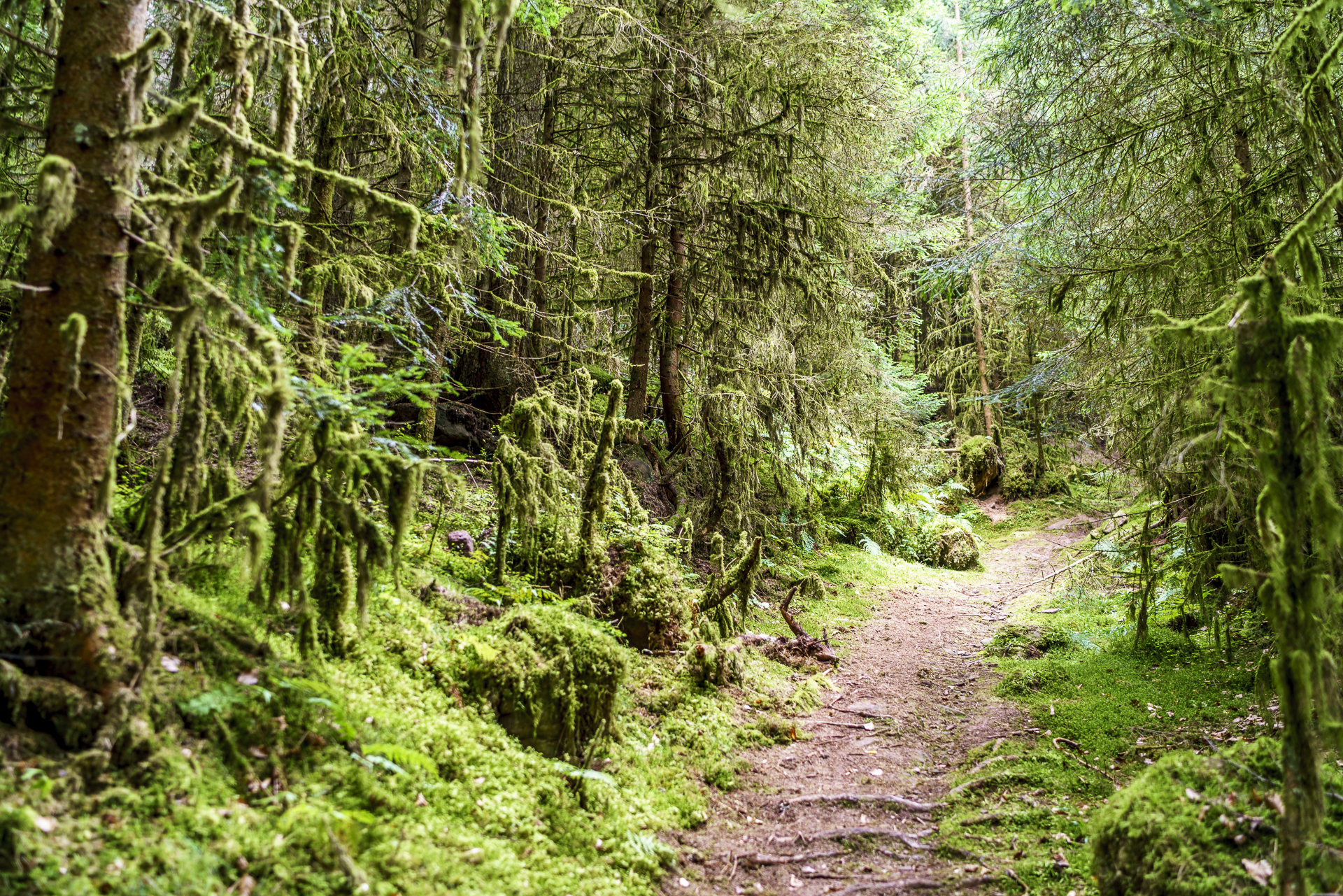 schwarzwald-teinach