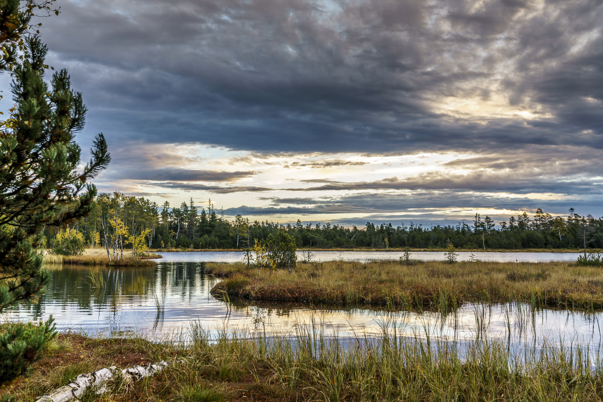 wildsee-moor-teinach