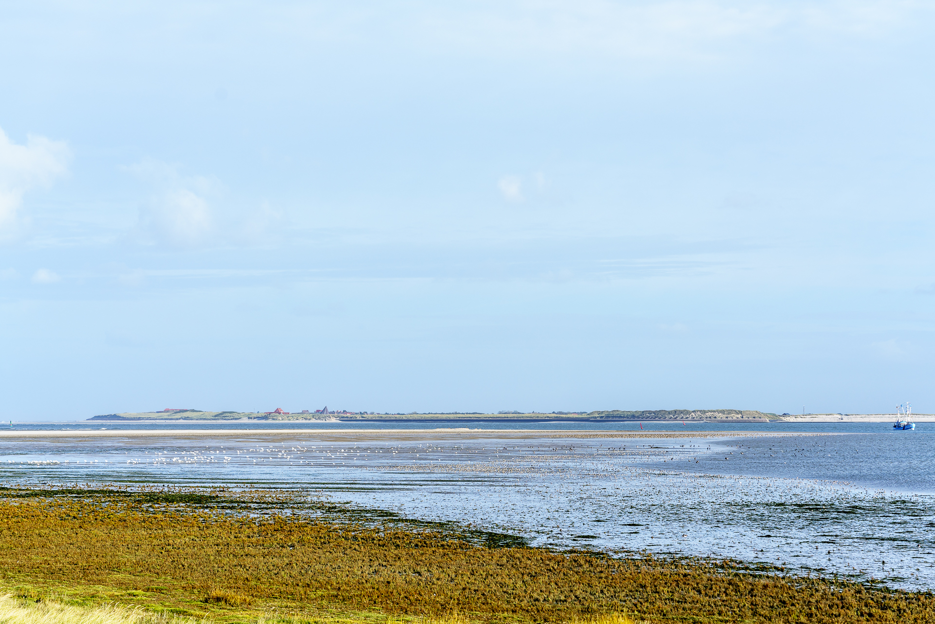 blick-nach-spiekeroog