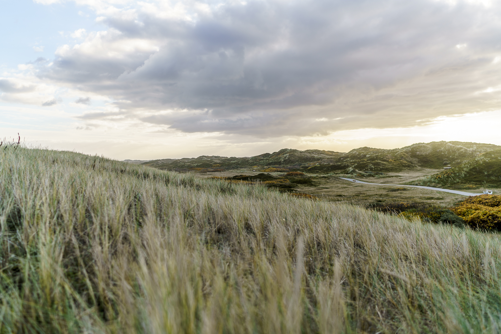 duenenlandschaft-langeoog
