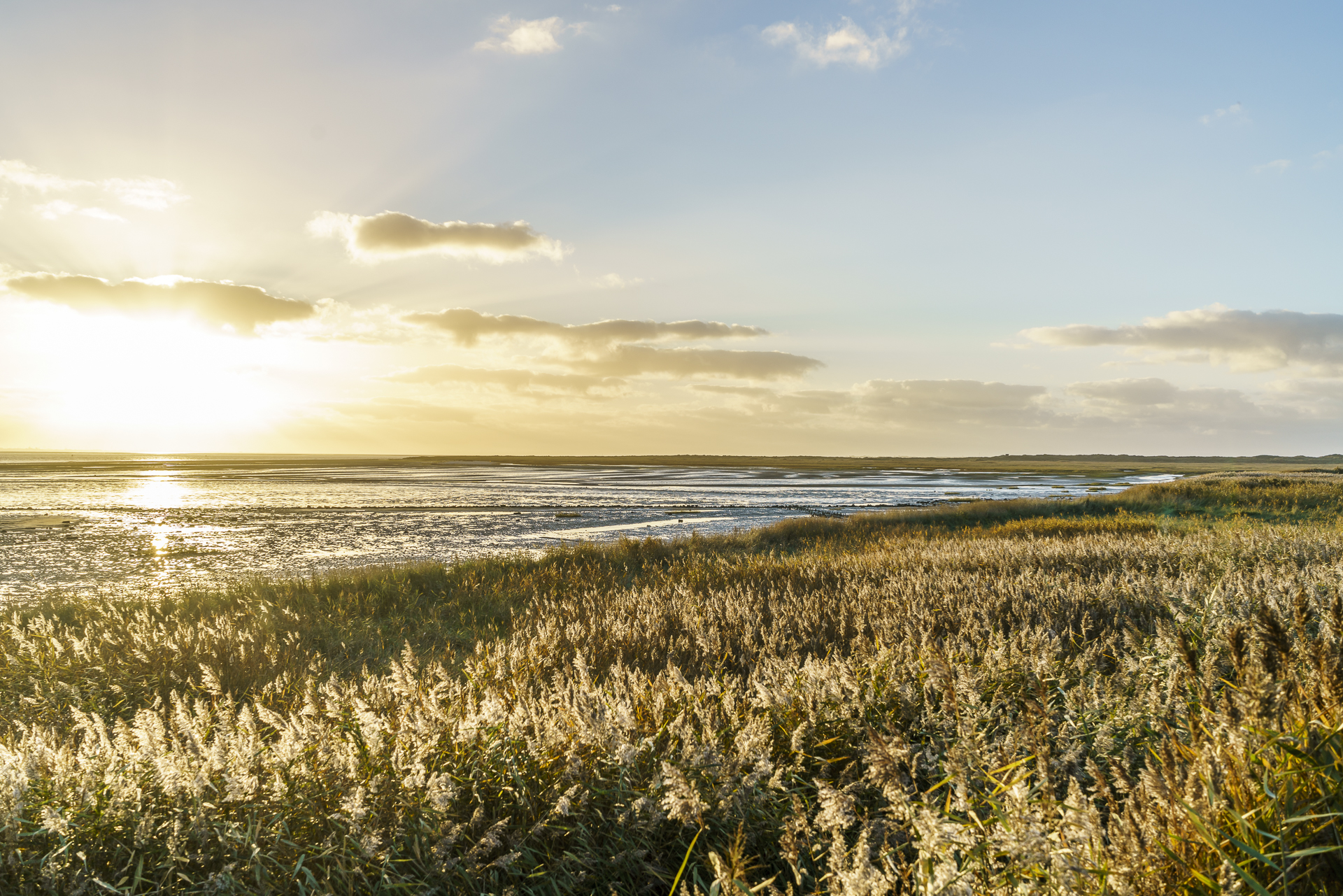 flinthoern-sonnenuntergang-langeoog
