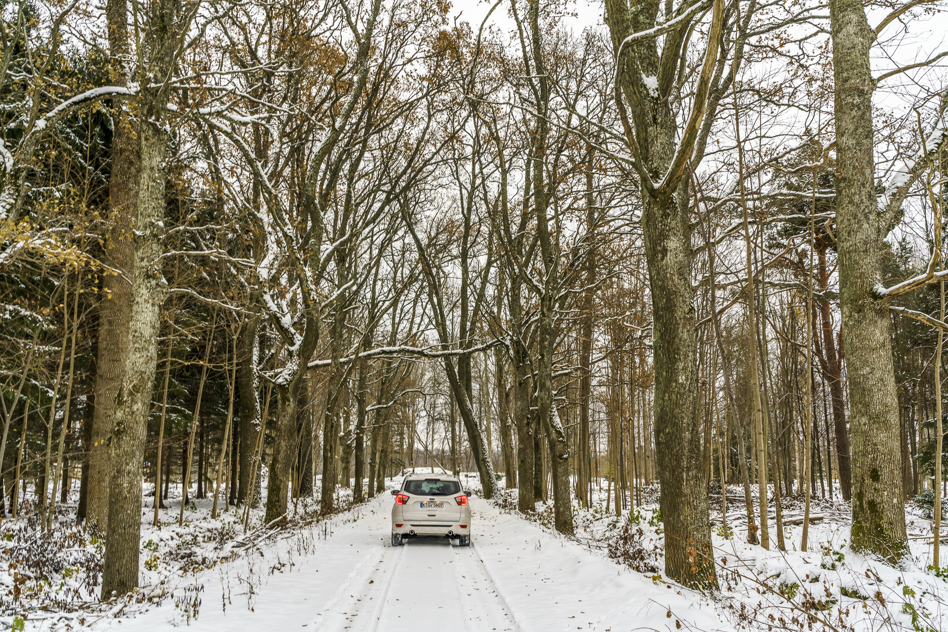 Ford Kuga Roadtrip