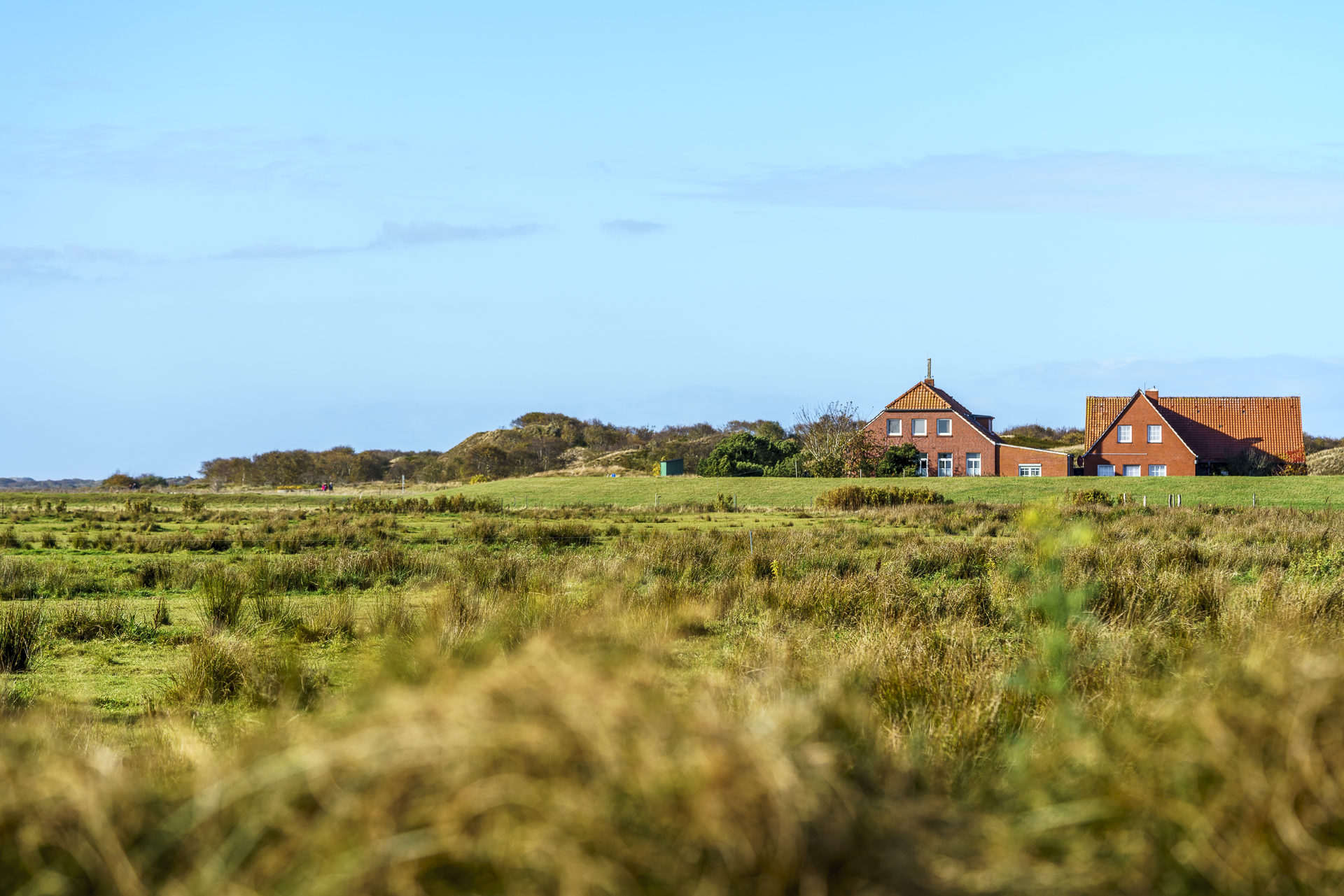 meierei-langeoog
