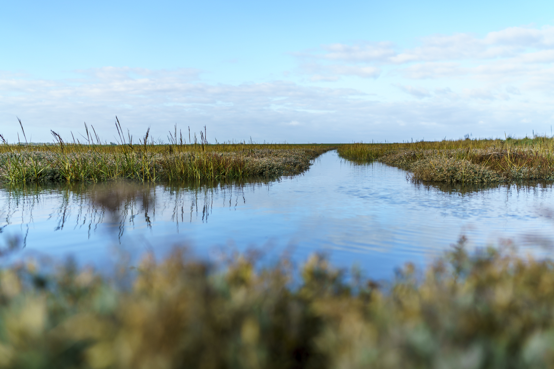 priel-salzwiesen-langeoog