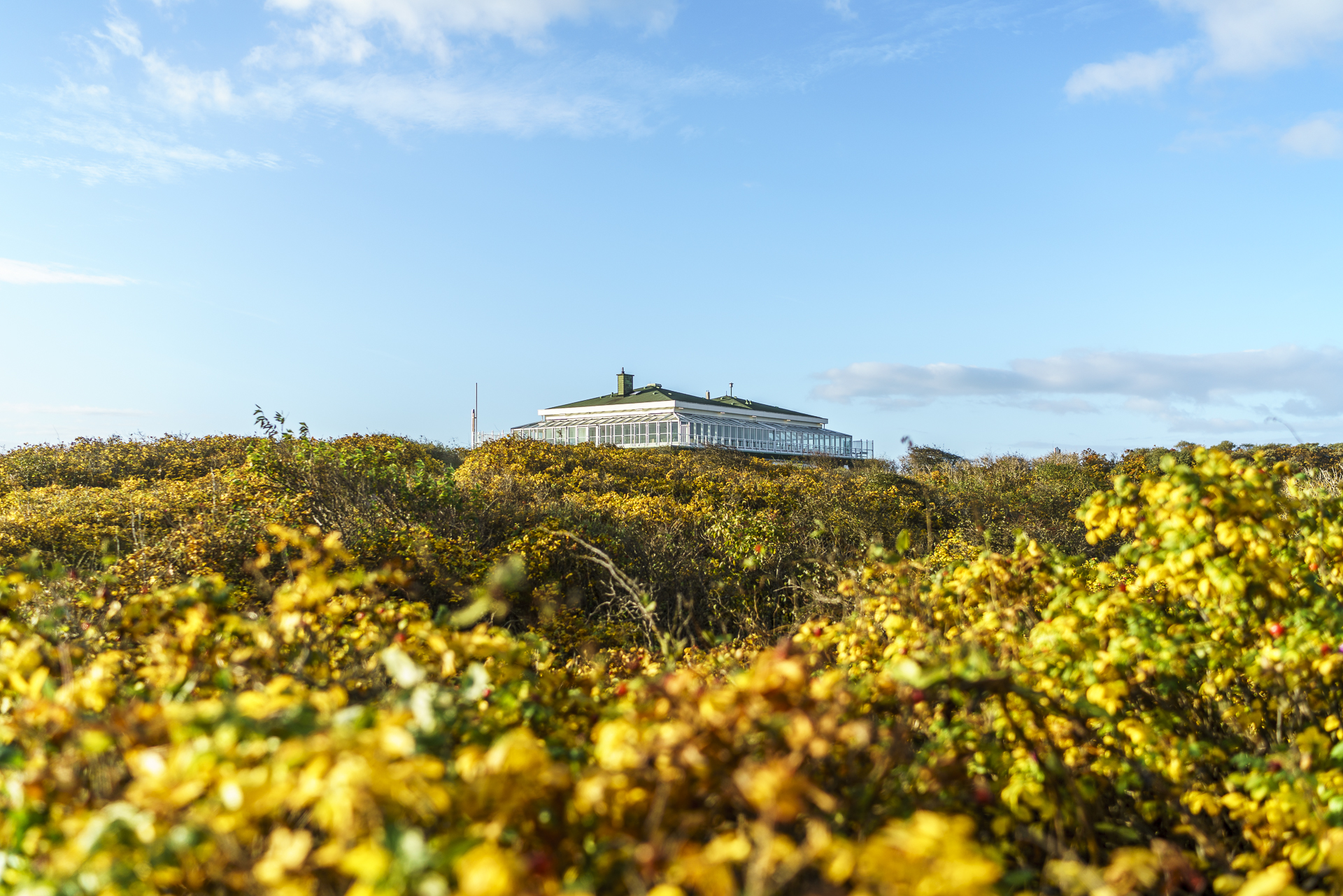 restaurant-seekrug-langeoog