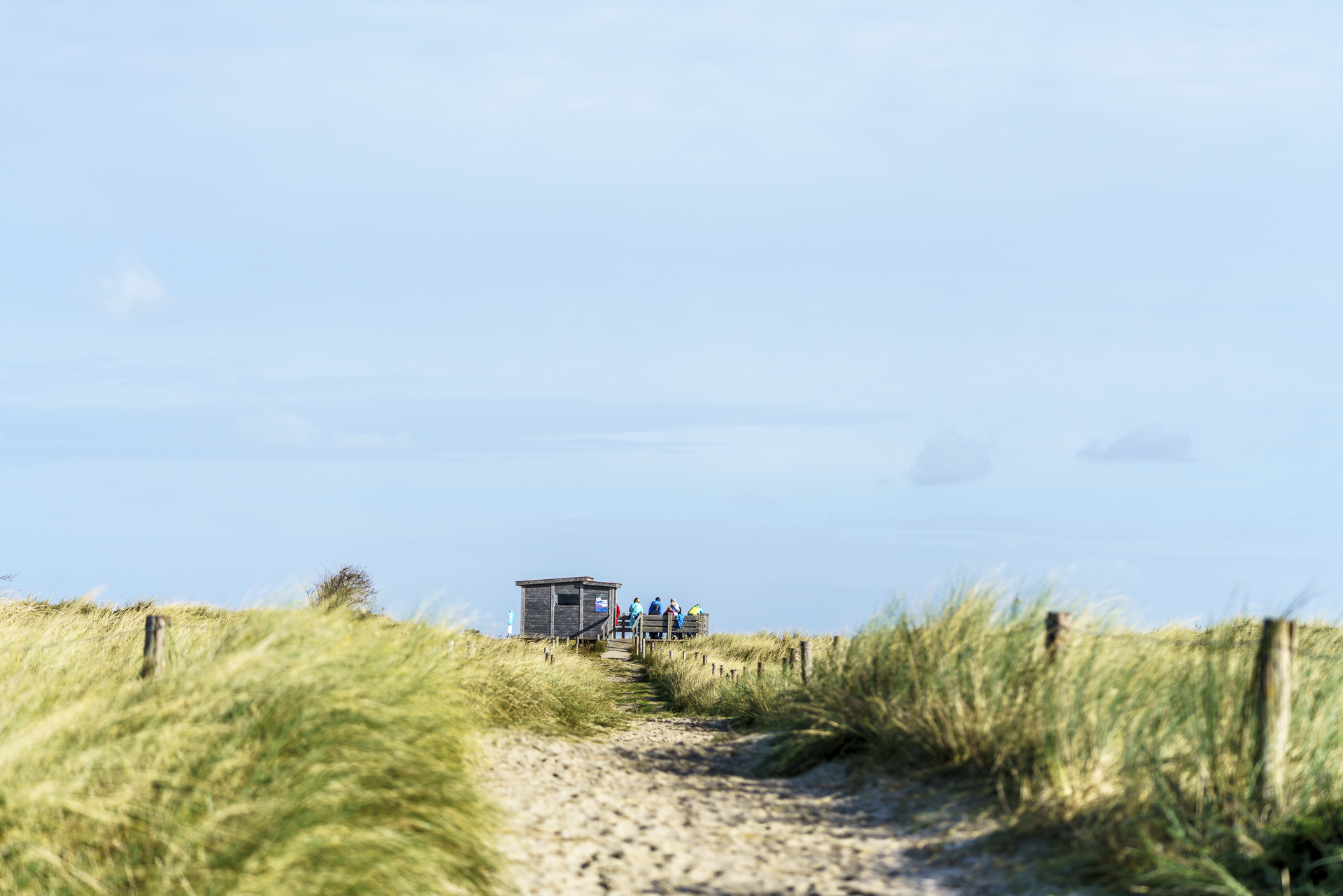 seehund-beobachtungsplattform-langeoog