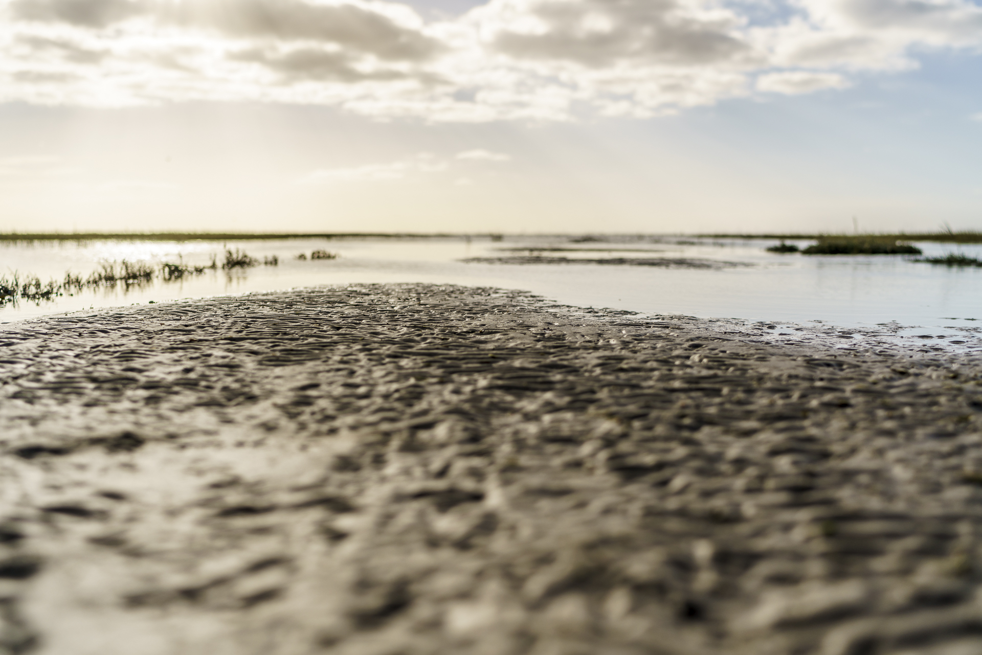 wattenmeer-ostfriesland