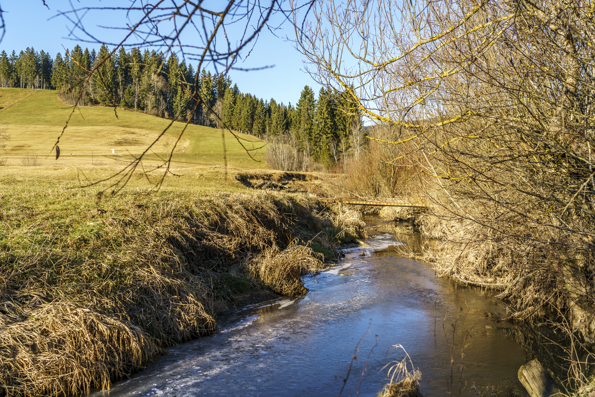 Hochmoor Rothenthurm