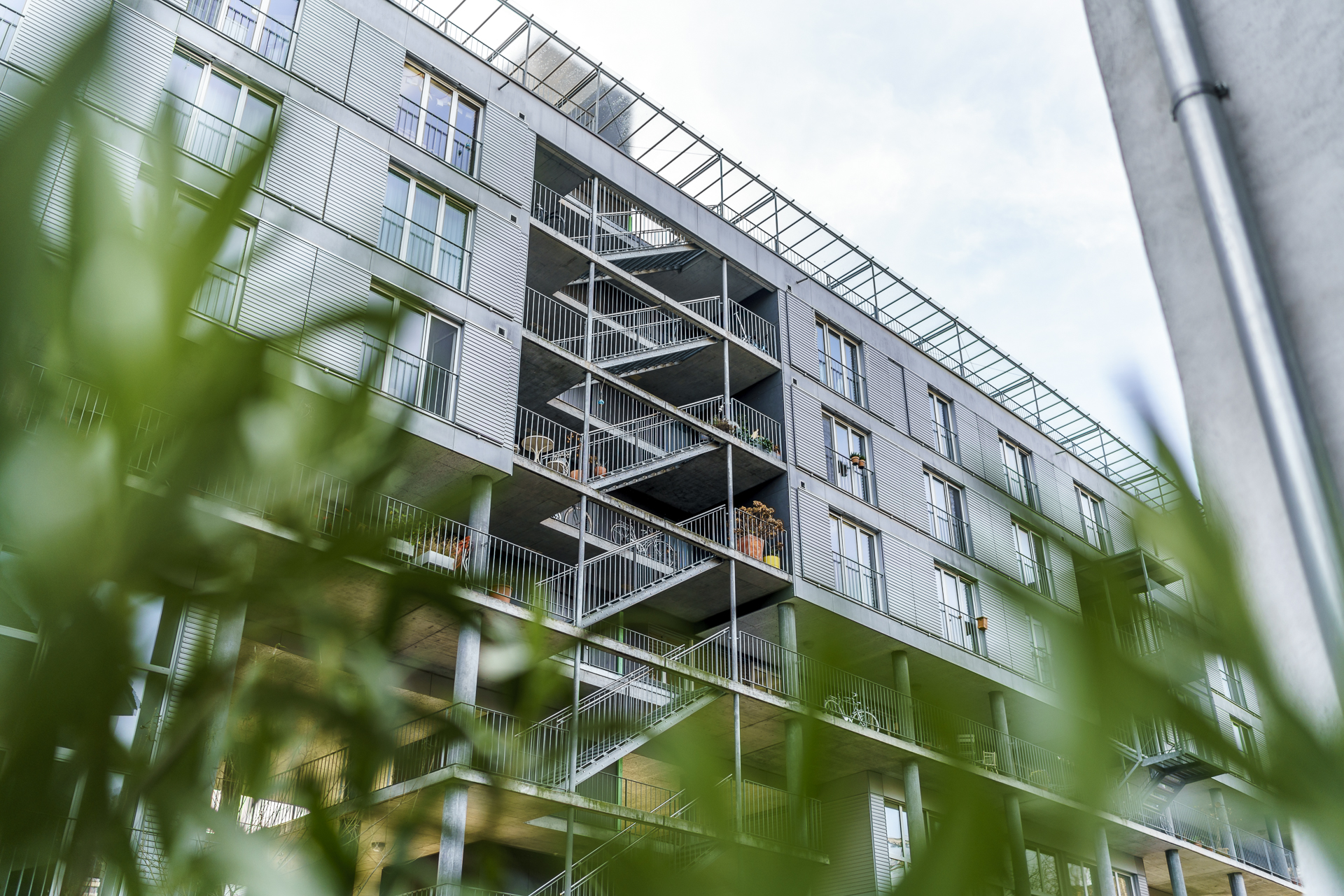 Areal Limmat West