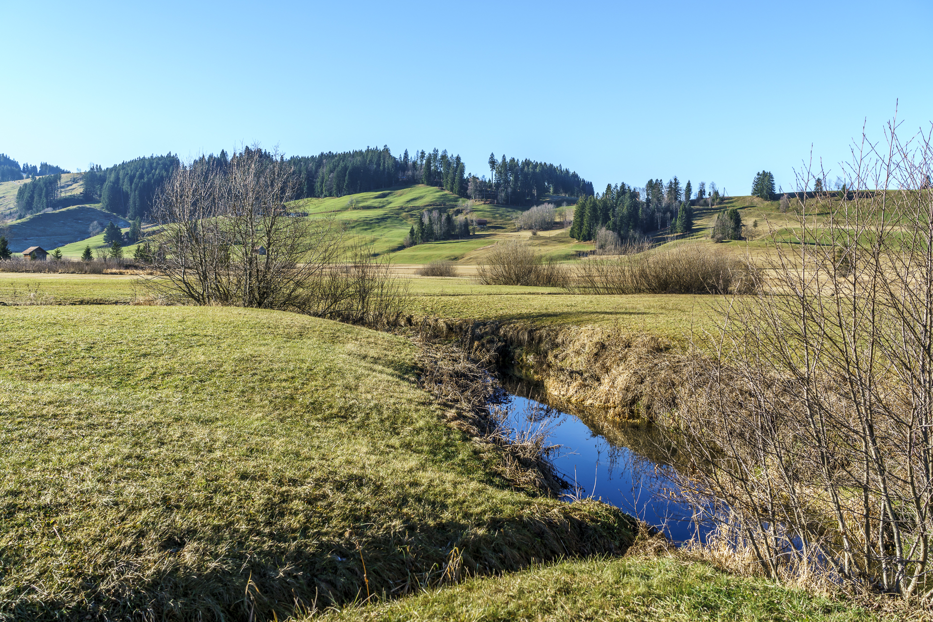 Moorlandschaft Rothenthurm