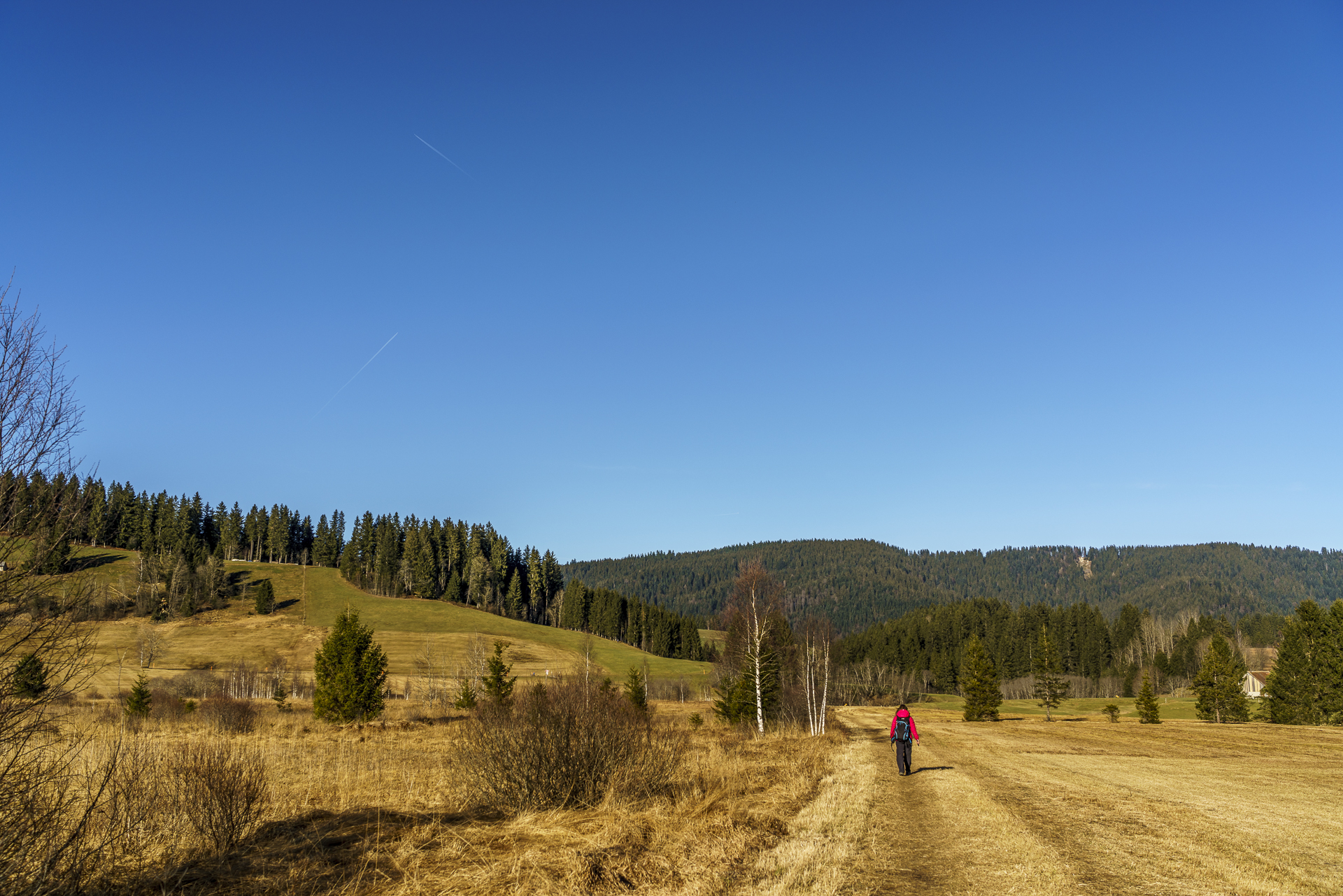 Moorweg Rothenthurm Biberbrugg