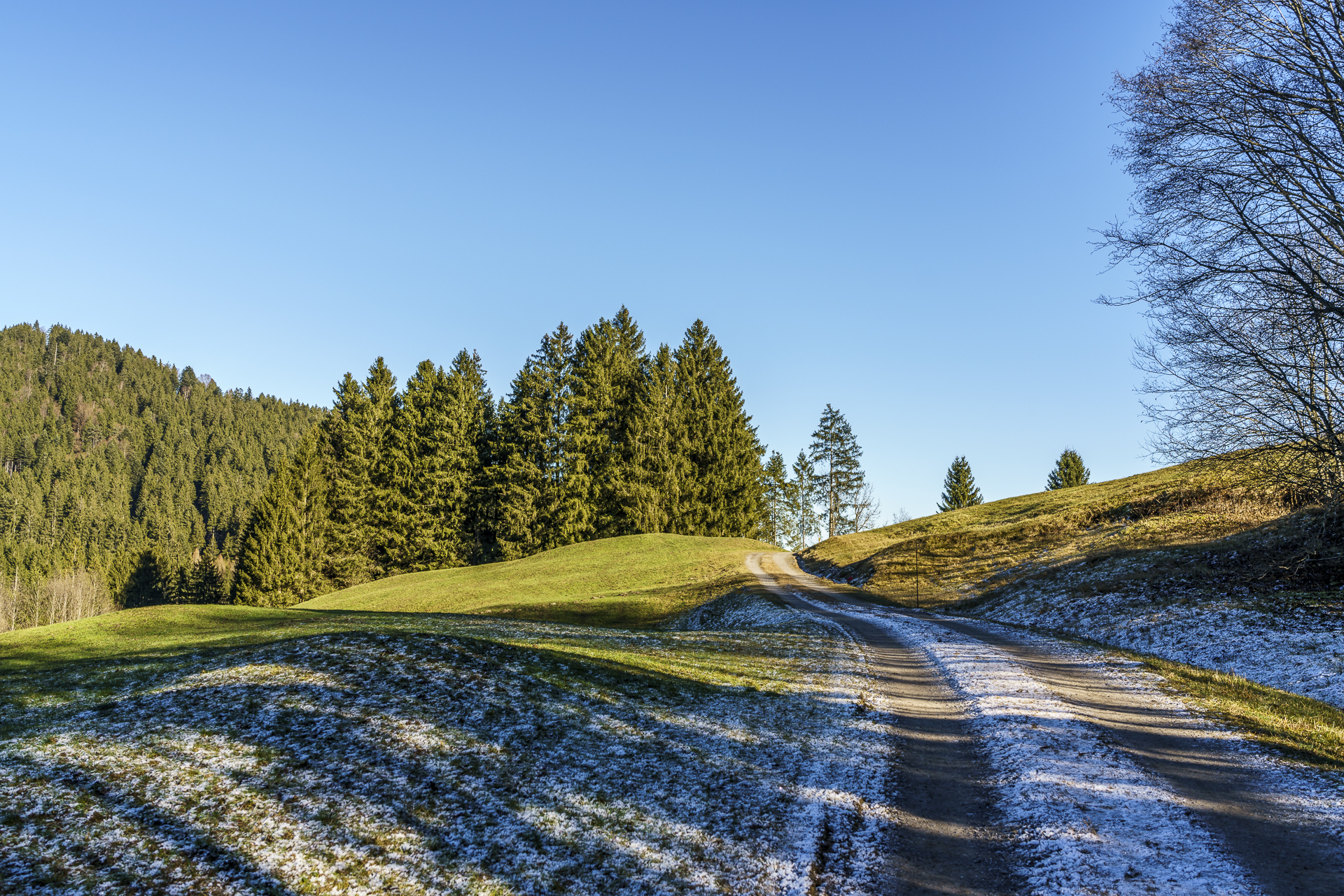 Moorweg Rothenthurm