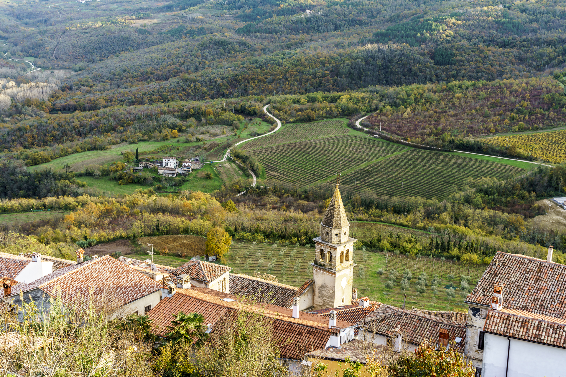 motovun-dorf-istrien