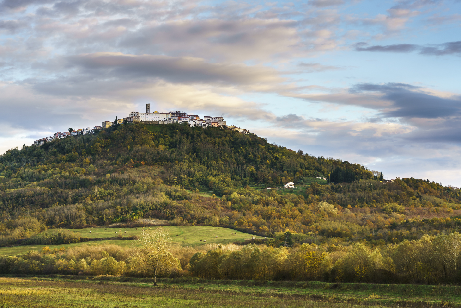 motovun