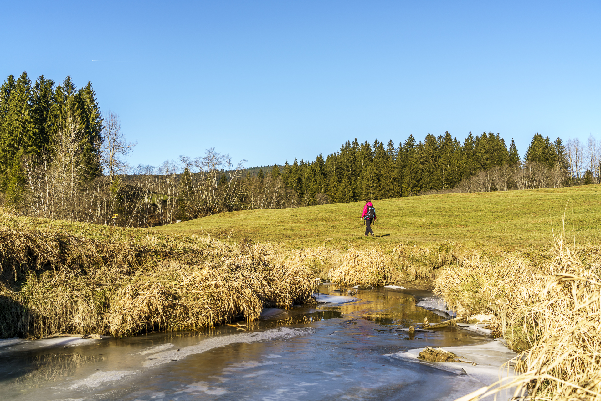 Rothenthurm Moor Wandern