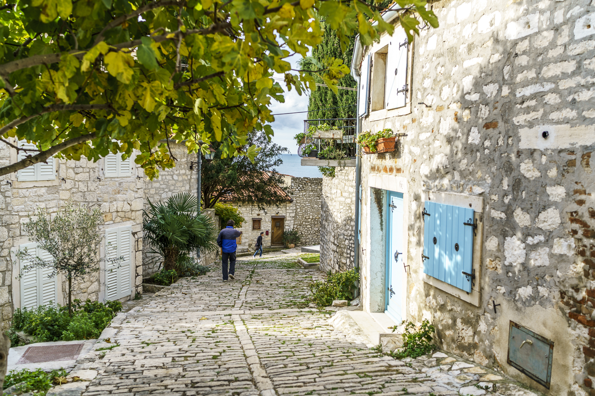 Fotowalk durch Rovinj