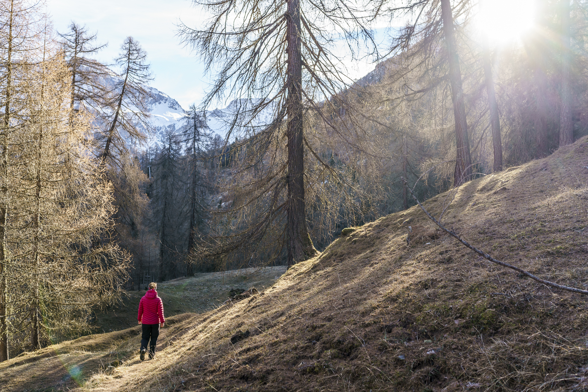 Rundwanderung-Tschiertschen
