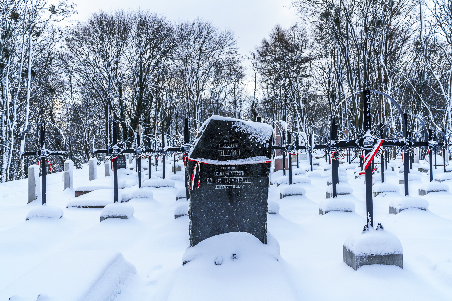 lytschakiwski-friedhof-lemberg-2