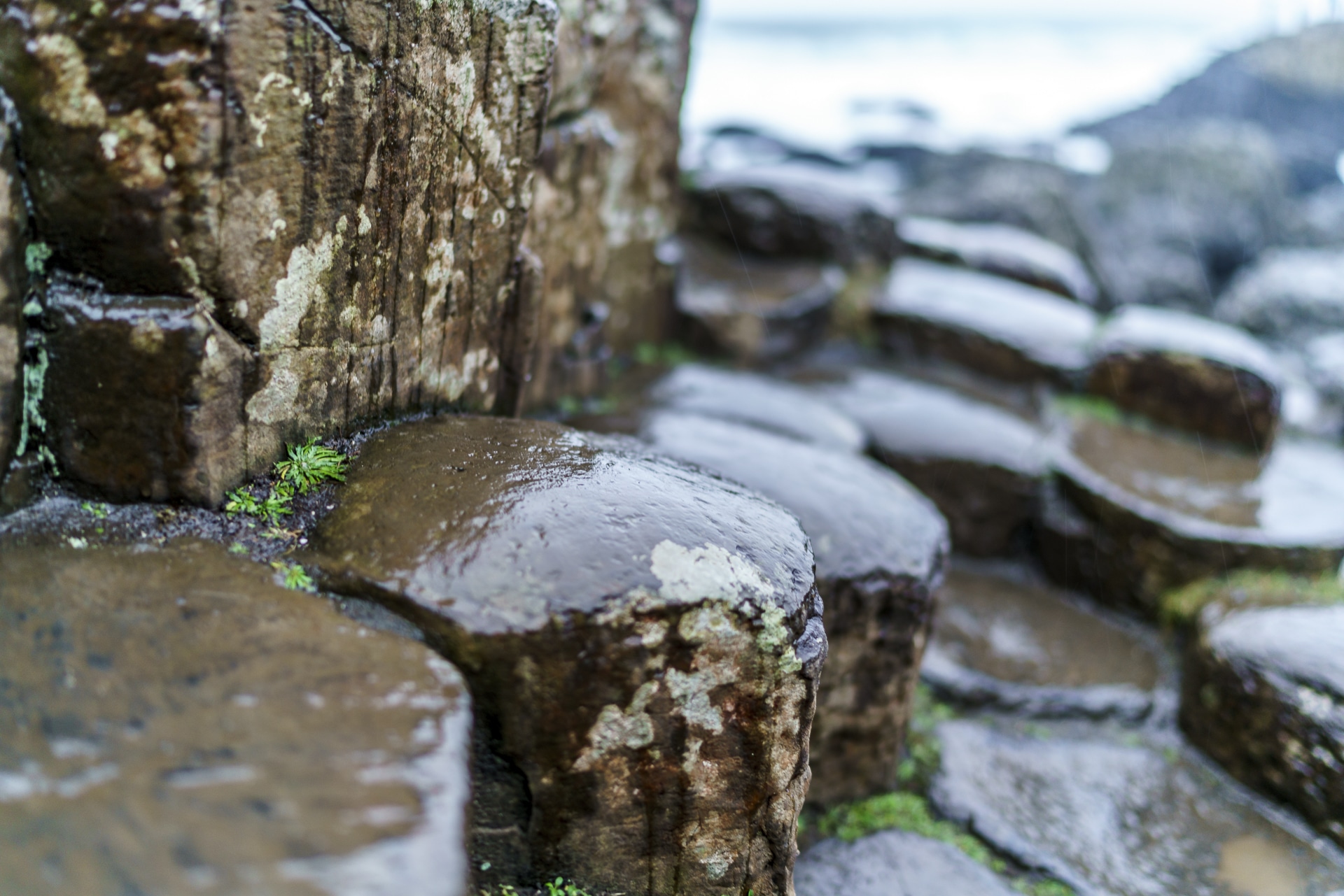 Basaltsteine Giants Causeway