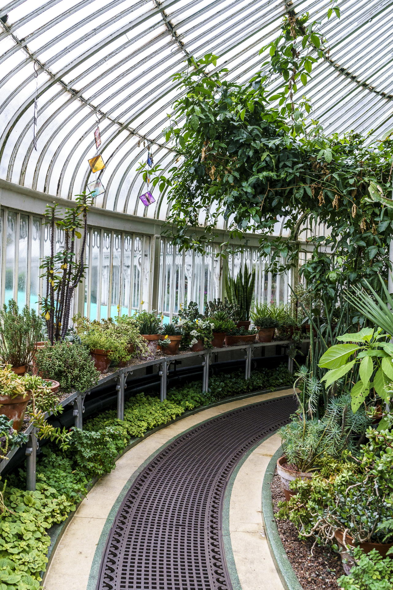 Belfast Botanical Garden