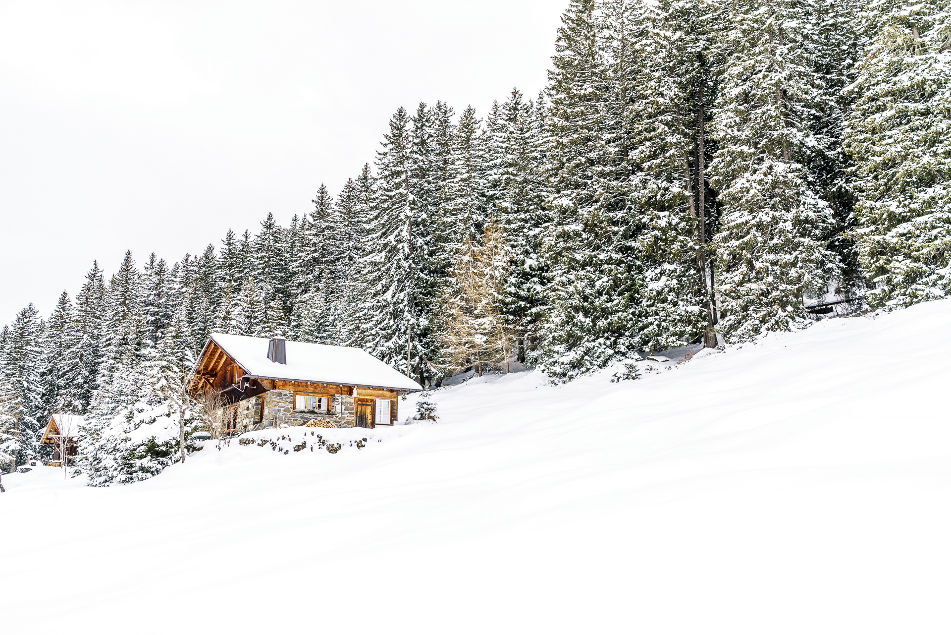 Chalet Berner Oberland