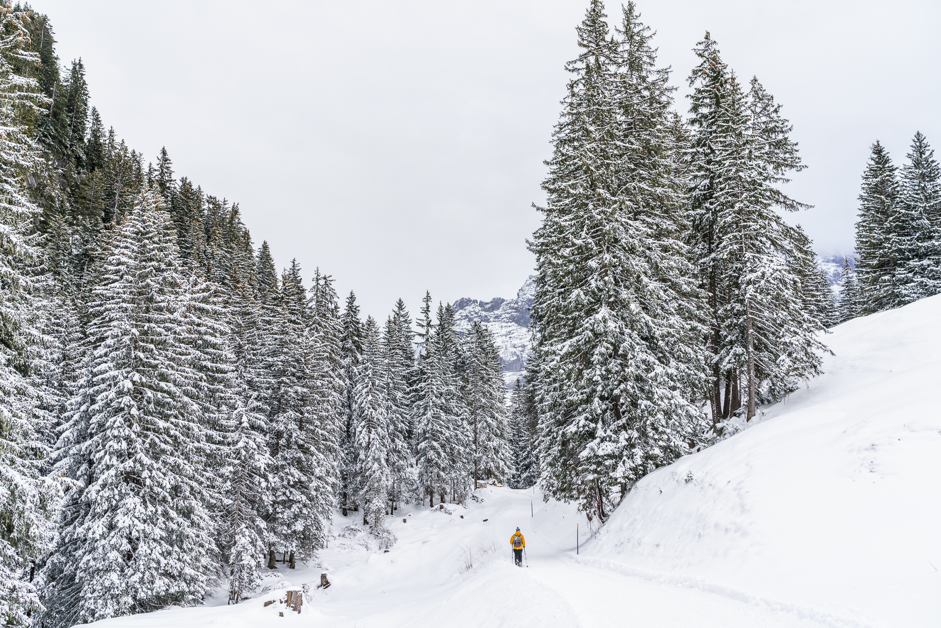 Grindelwald Schneeschuhwandern