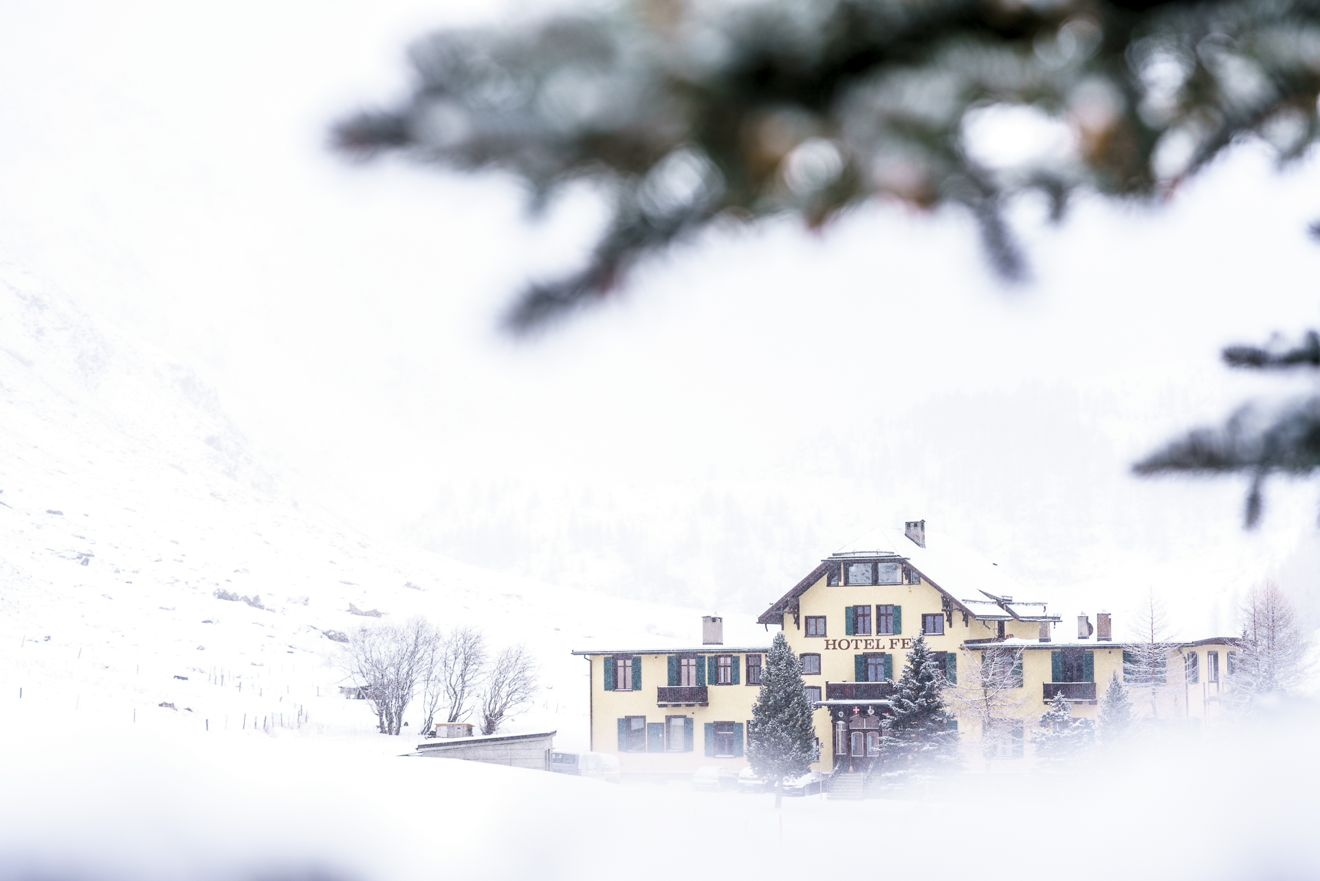 Hotel Fex