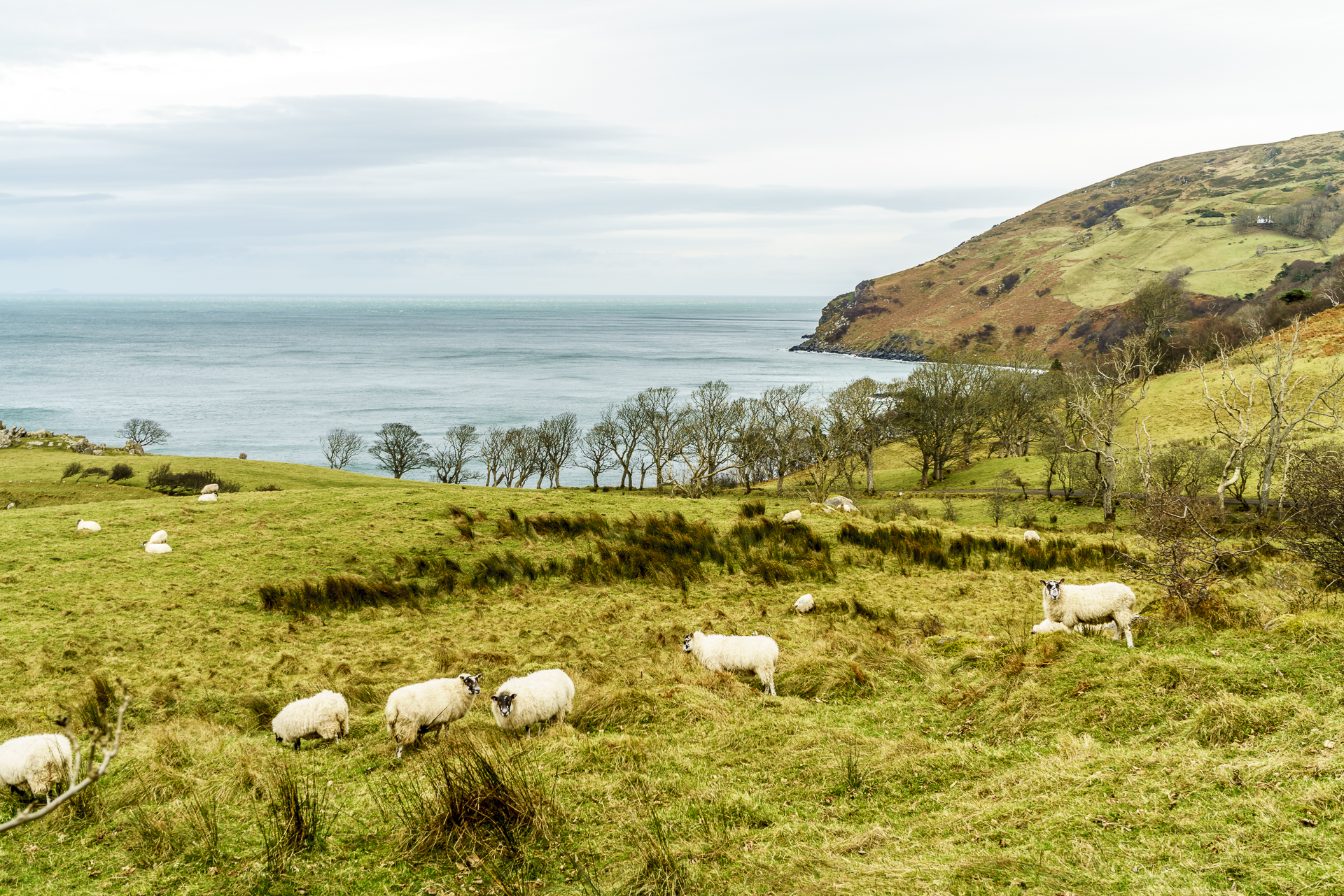 Murlough Bay Nordirland