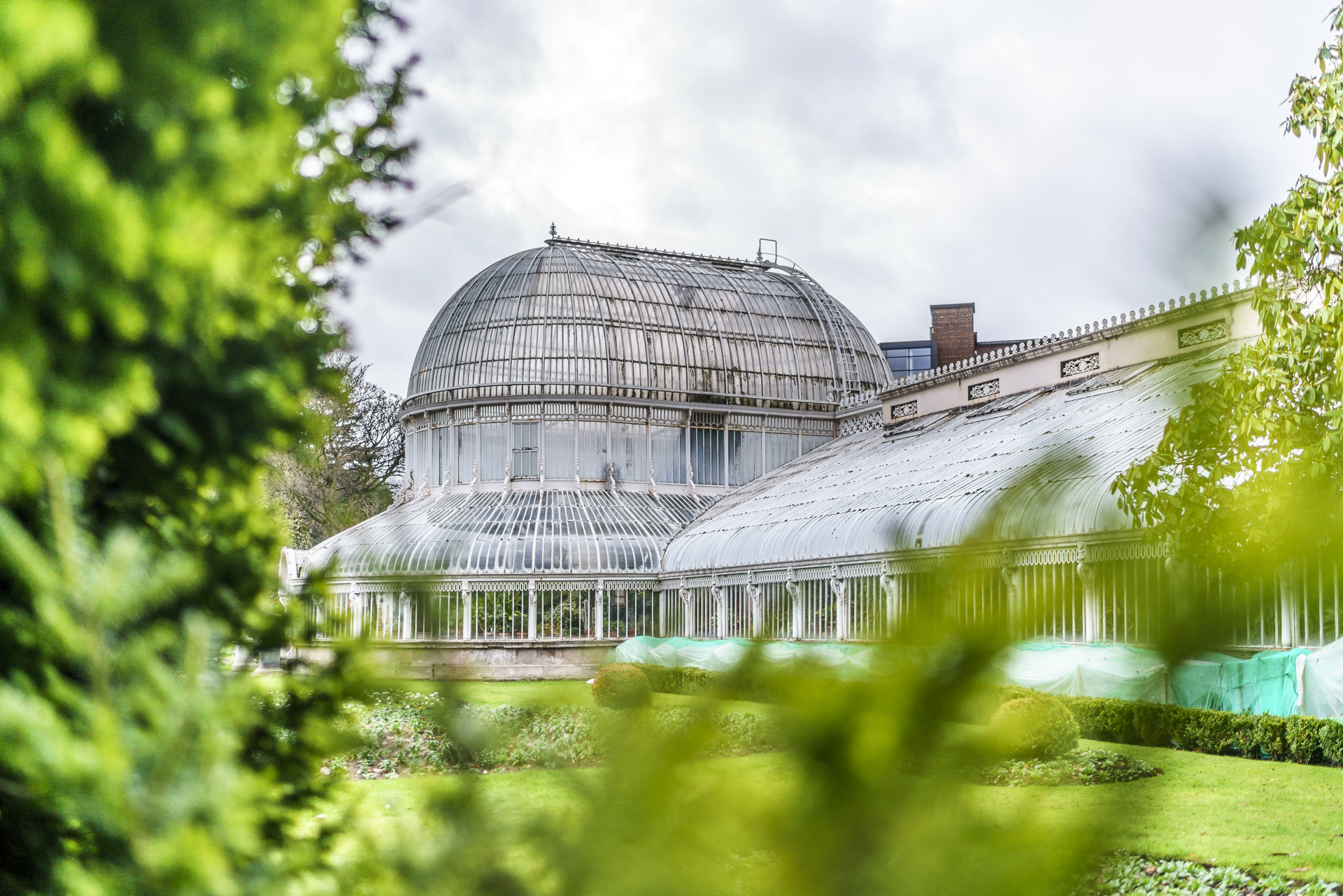 Palmenhaus Belfast