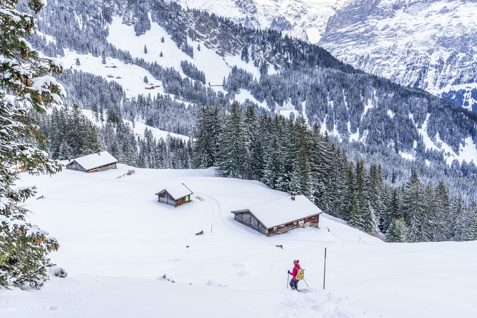 Panoramaschneeschuhtrail Grindelwald
